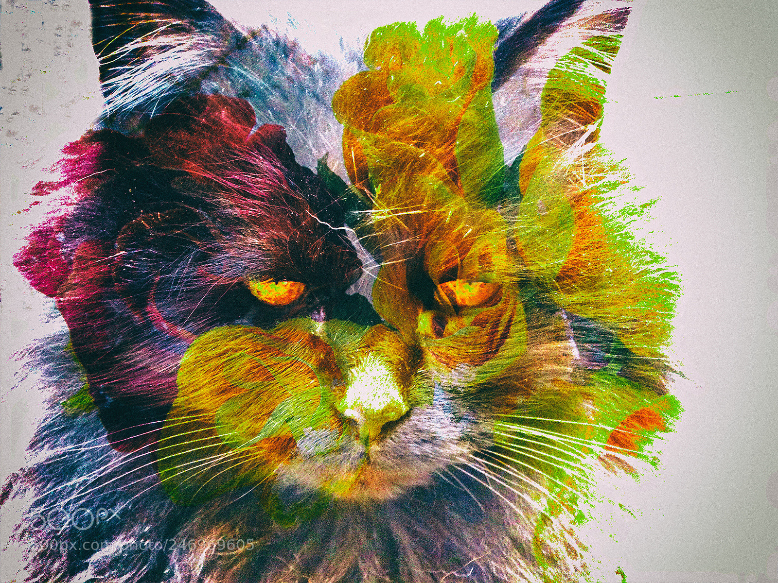Sony Cyber-shot DSC-HX300 sample photo. Pop art kitty photography