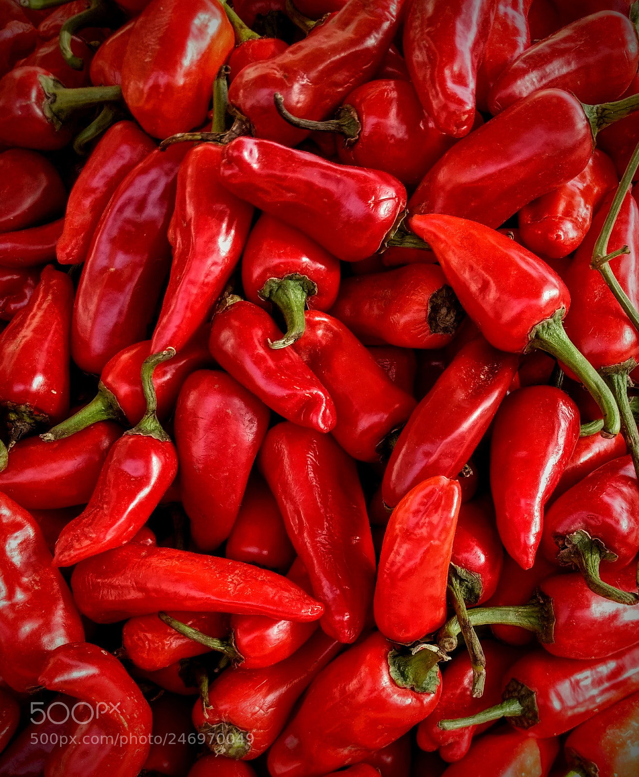 Motorola Moto G (4) sample photo. Red hot chillies photography