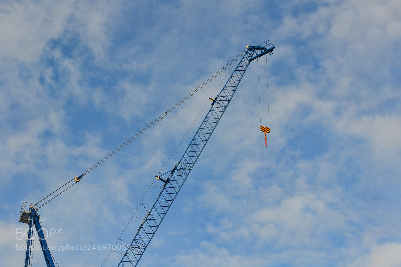 Nikon D3100 sample photo. Crane photography