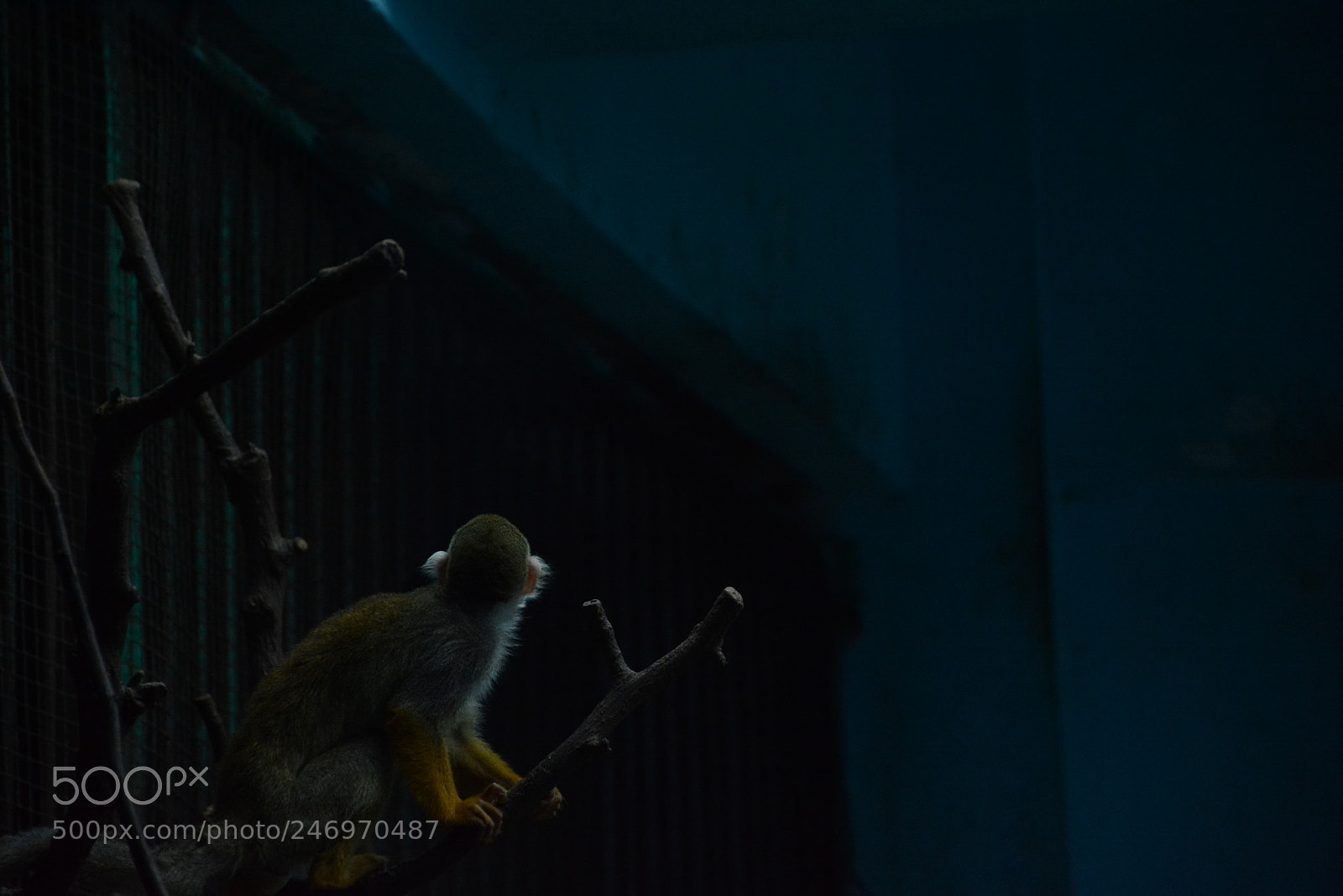 Nikon D7100 sample photo. Untitled photography