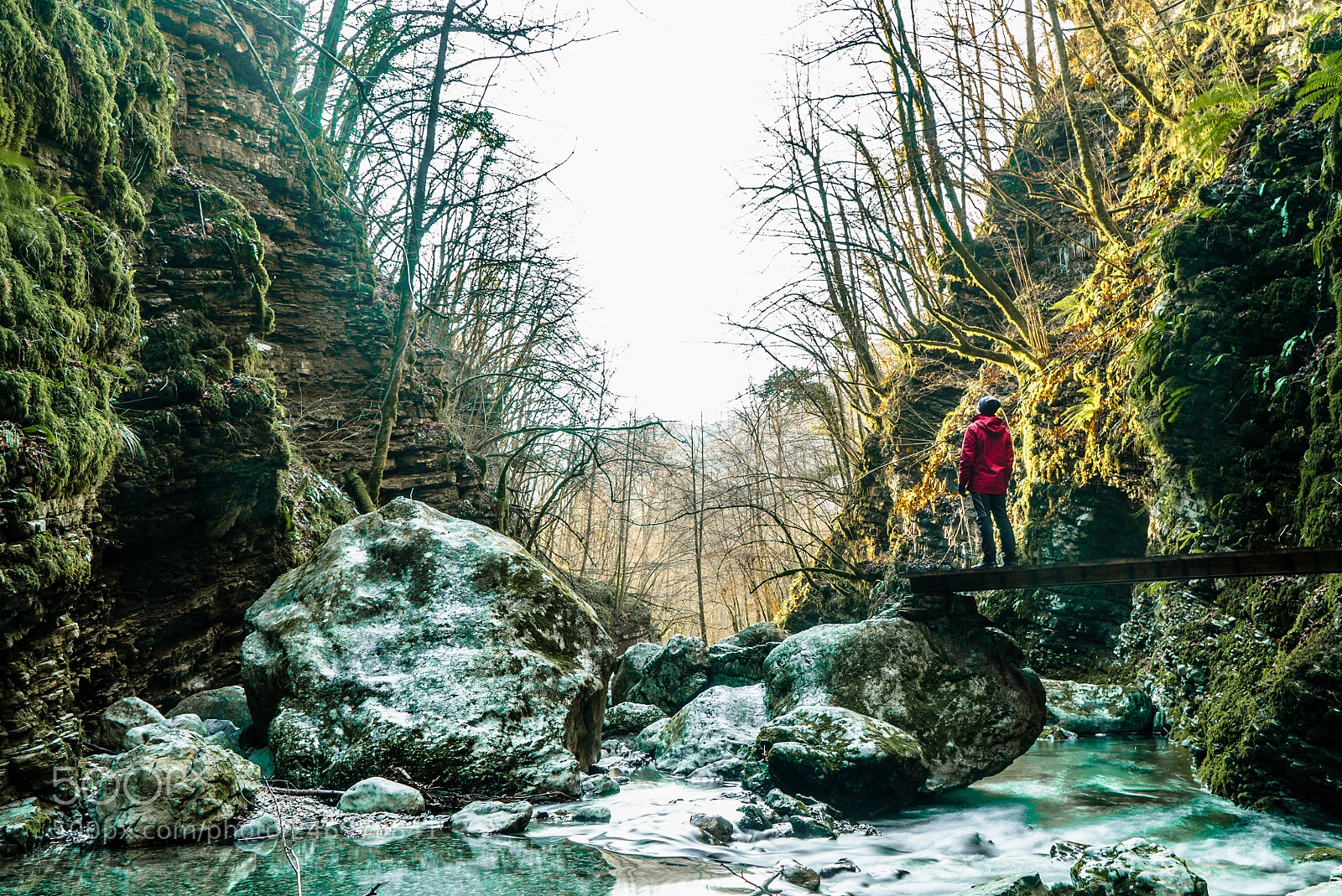 Sony a7S II sample photo. Immersed in slovenian nature photography
