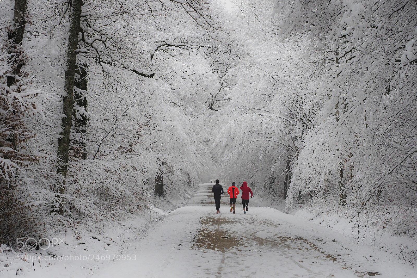 Olympus OM-D E-M1 Mark II sample photo. Running in winter photography