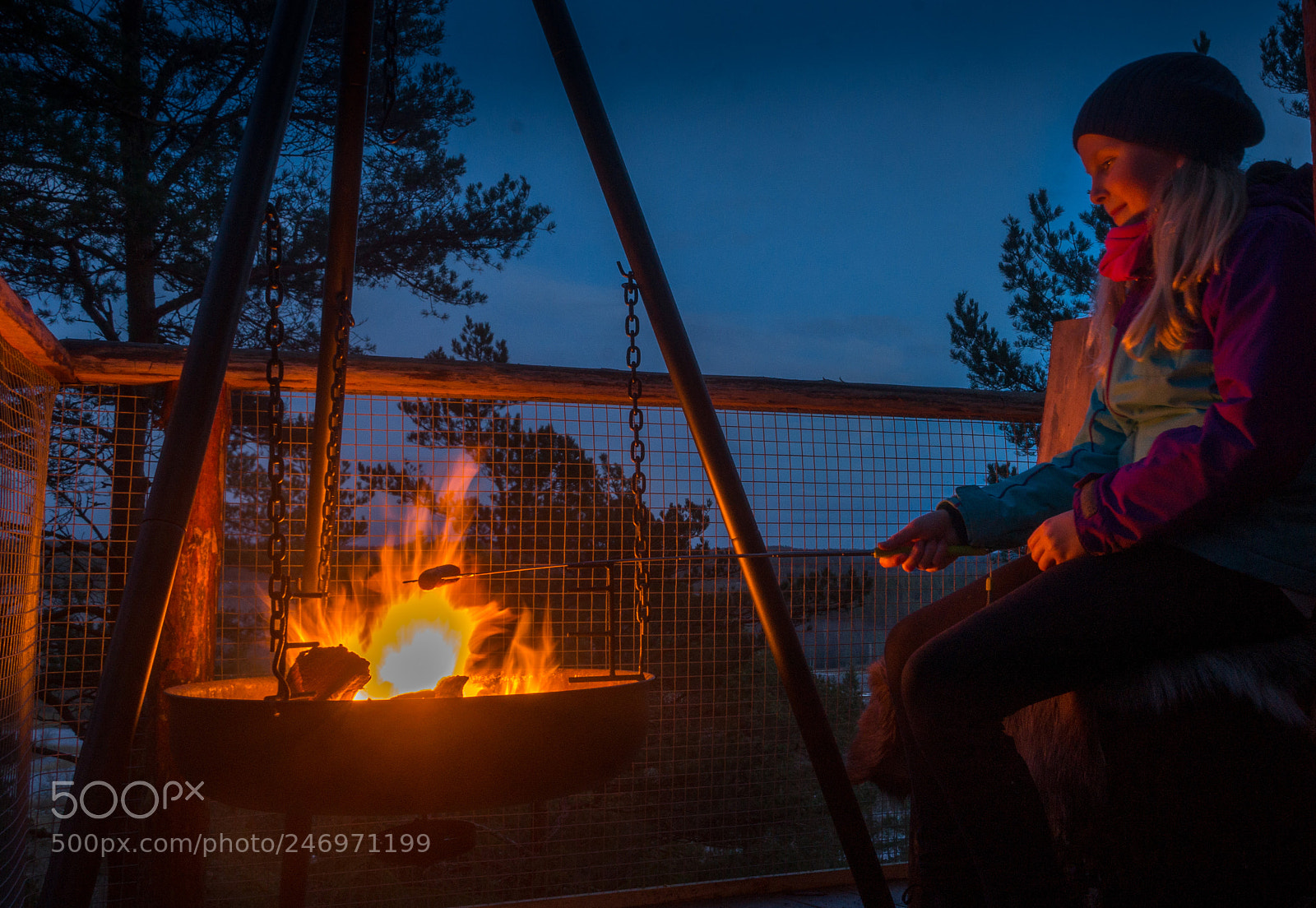 Sony Alpha NEX-6 sample photo. B lkos i tretoppene photography