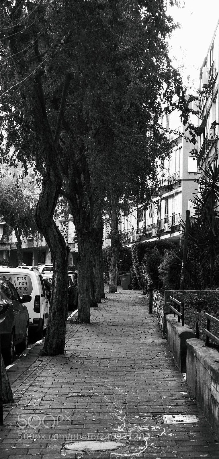 Fujifilm X-T20 sample photo. Gloomy sunday photography
