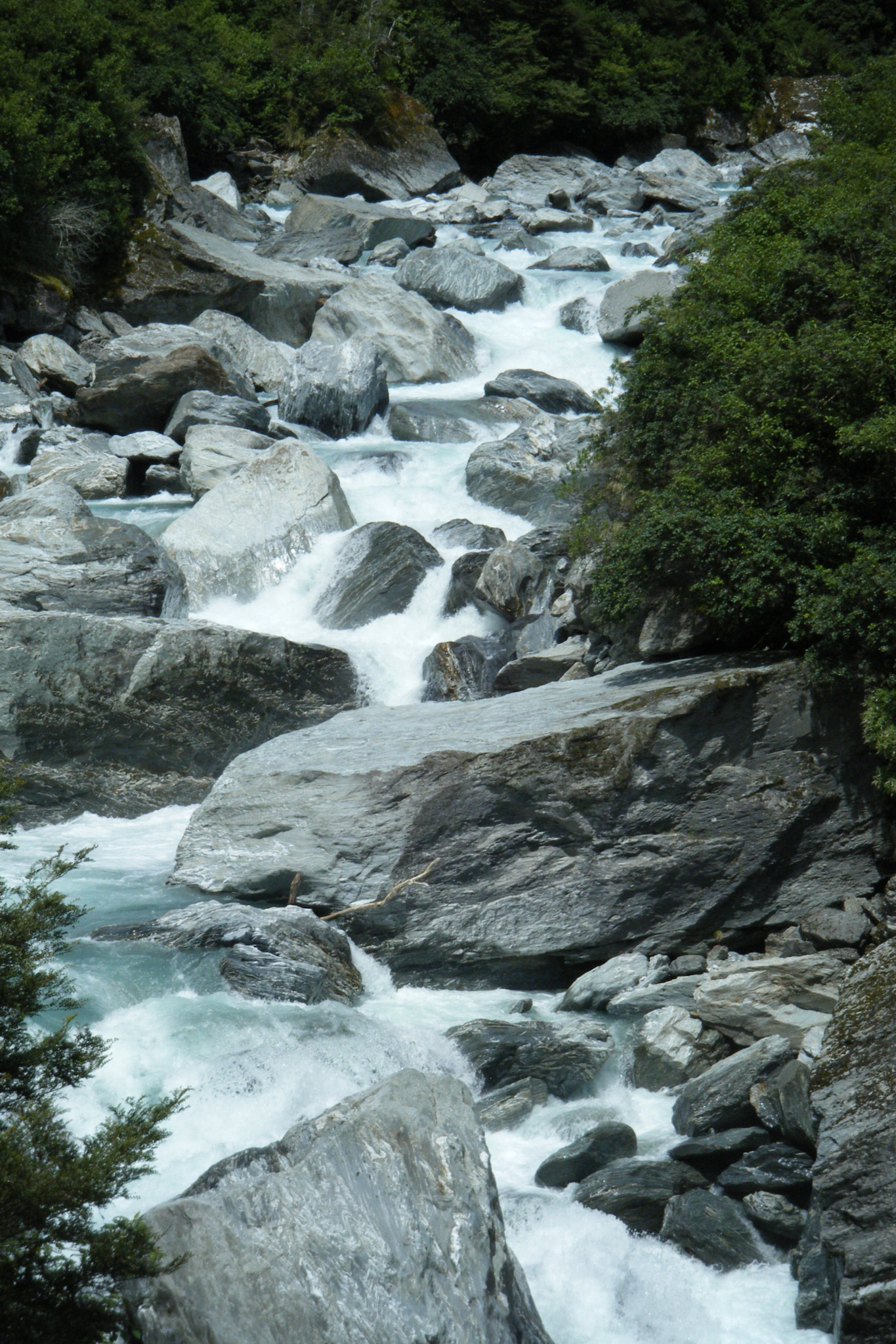 Fujifilm FinePix Z33WP sample photo
