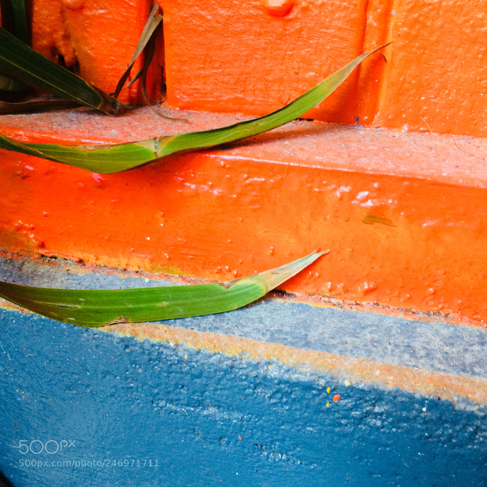 Apple iPhone 5s sample photo. Tropical steps photography