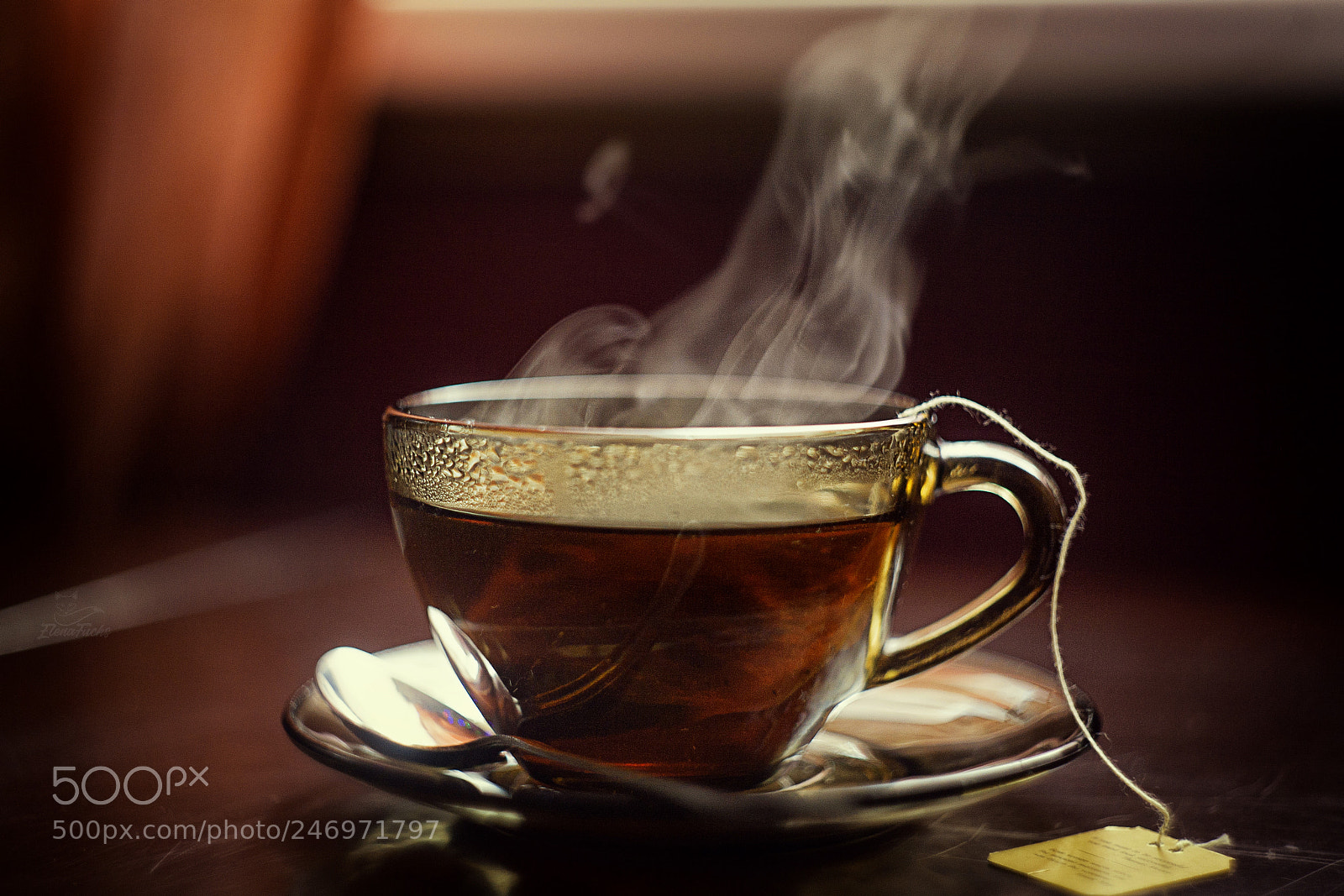 Canon EOS 5D sample photo. Untitled photography