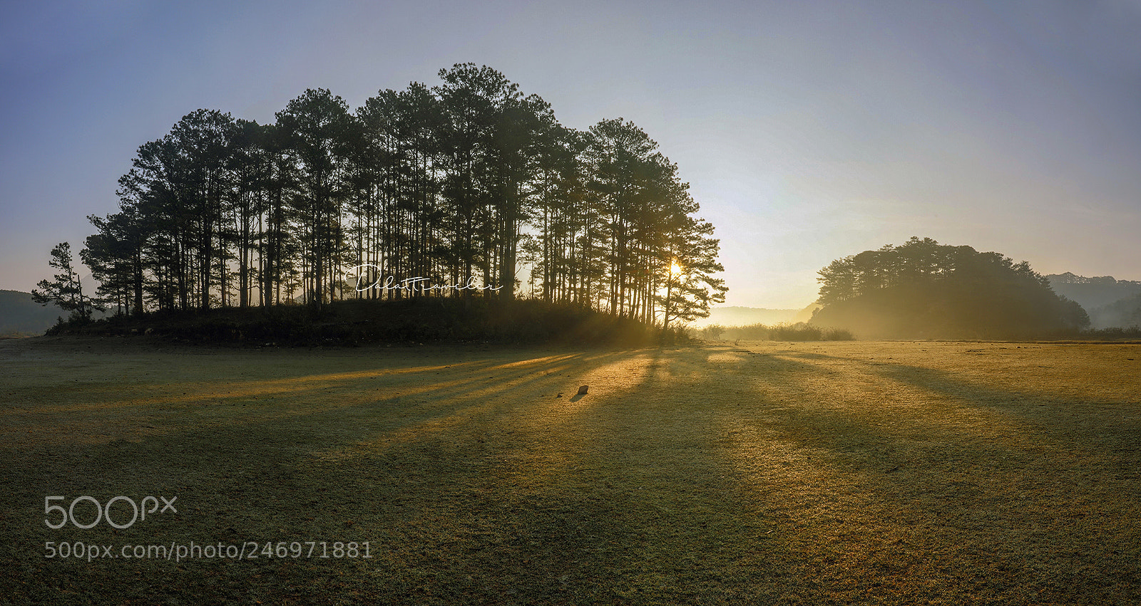 Canon EOS 5DS R sample photo. Pine island photography