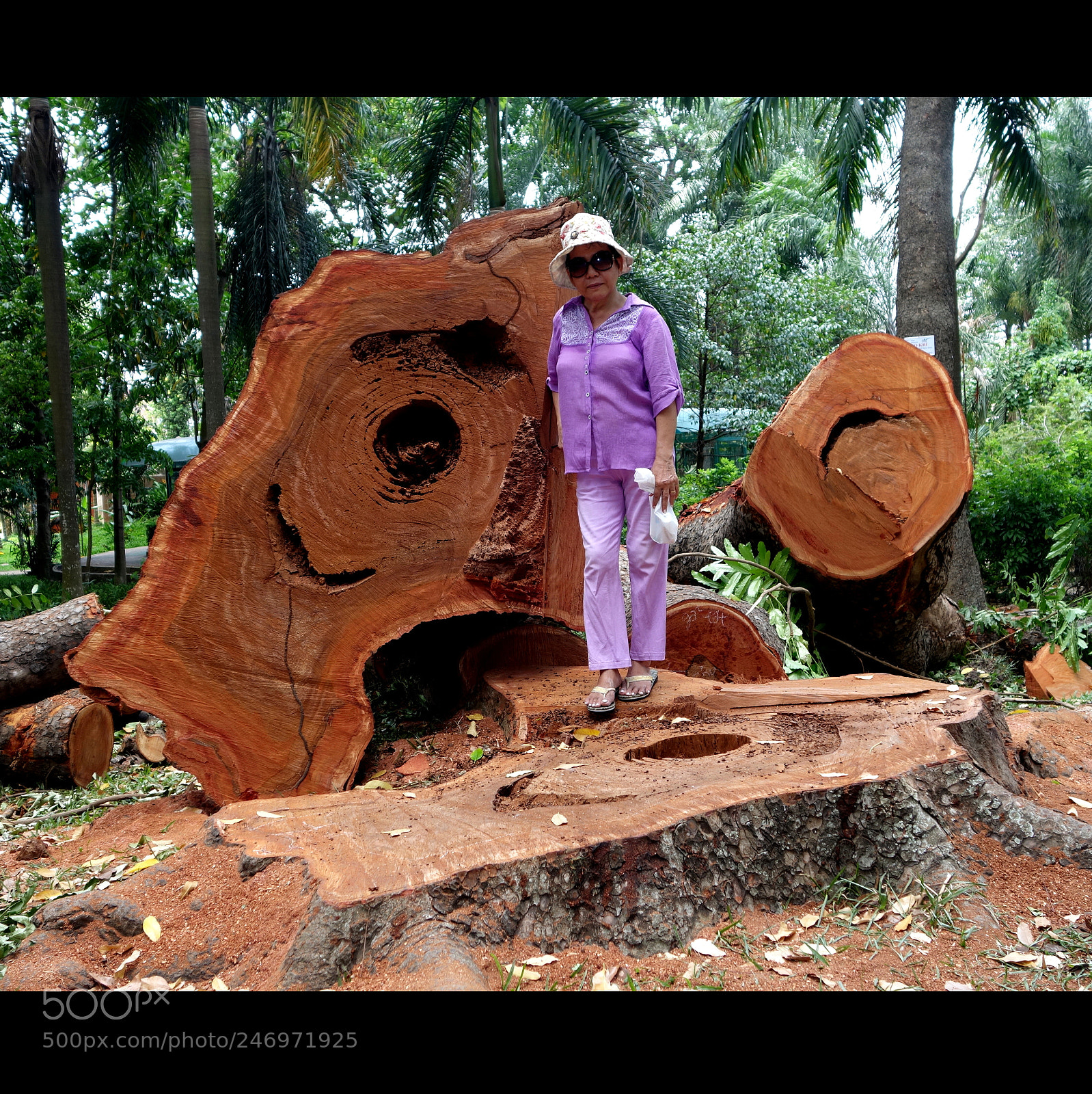 Sony Cyber-shot DSC-RX100 II sample photo. Vn people lot() photography