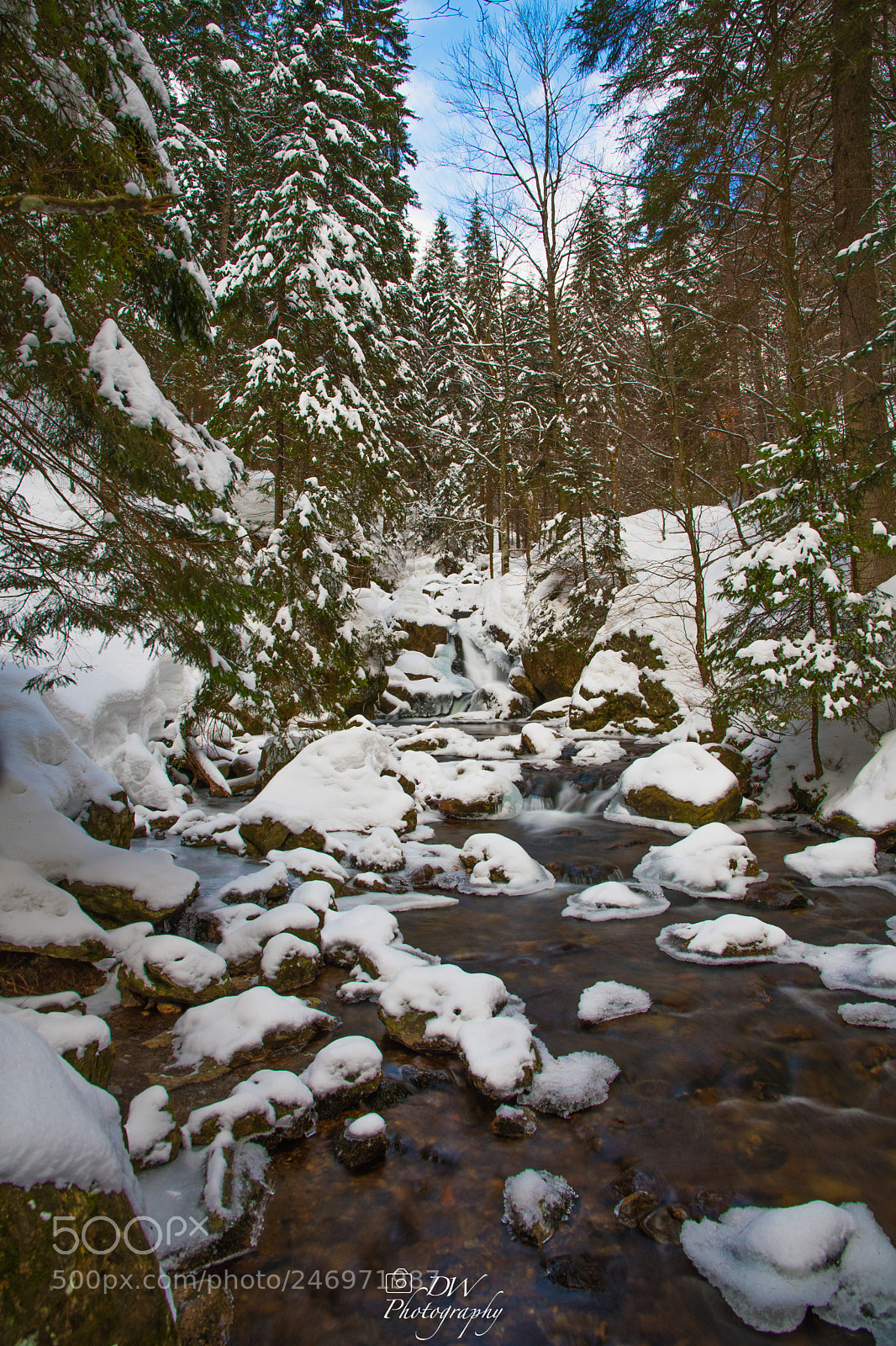 Nikon D500 sample photo. Icy creek photography