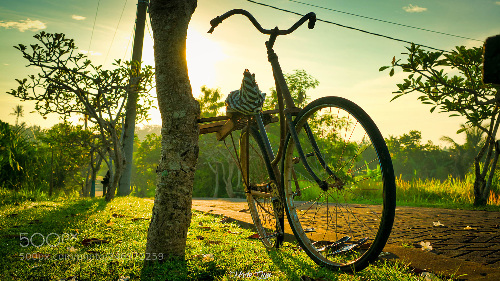 Sony a7 II sample photo. Onthel bicycle photography