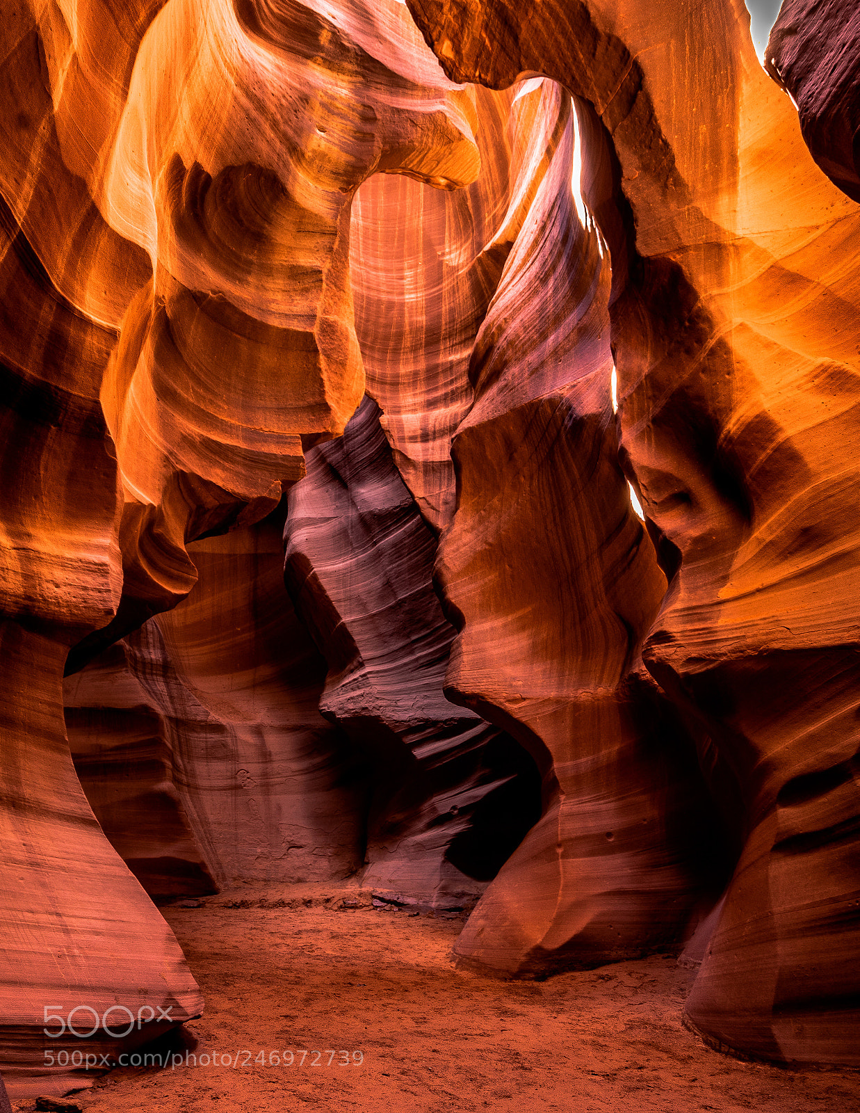 Sony a7 II sample photo. Zion fall karen calver photography