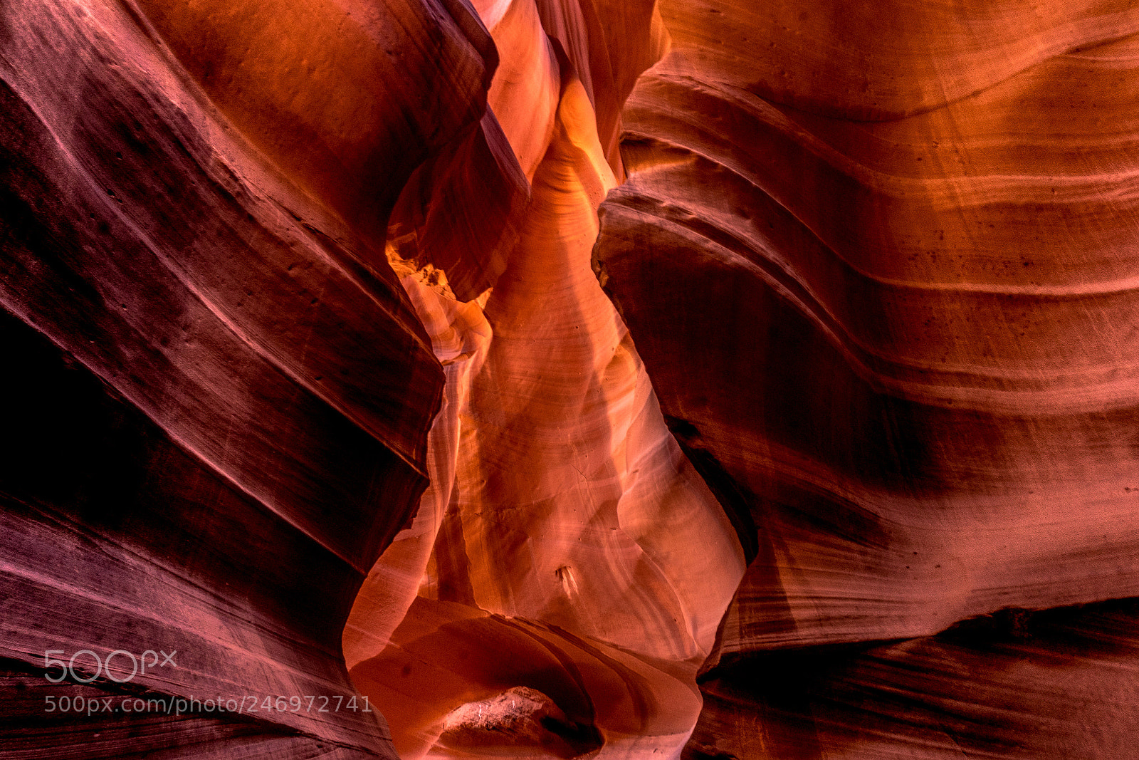 Sony a7 II sample photo. Zion fall karen calver photography
