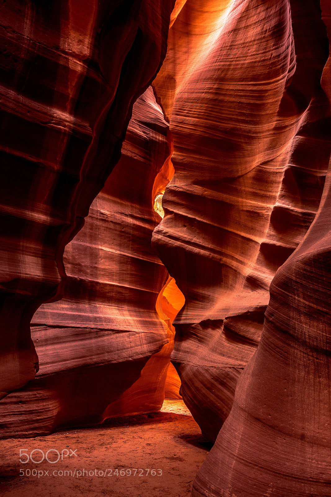 Sony a7 II sample photo. Zion fall karen calver photography