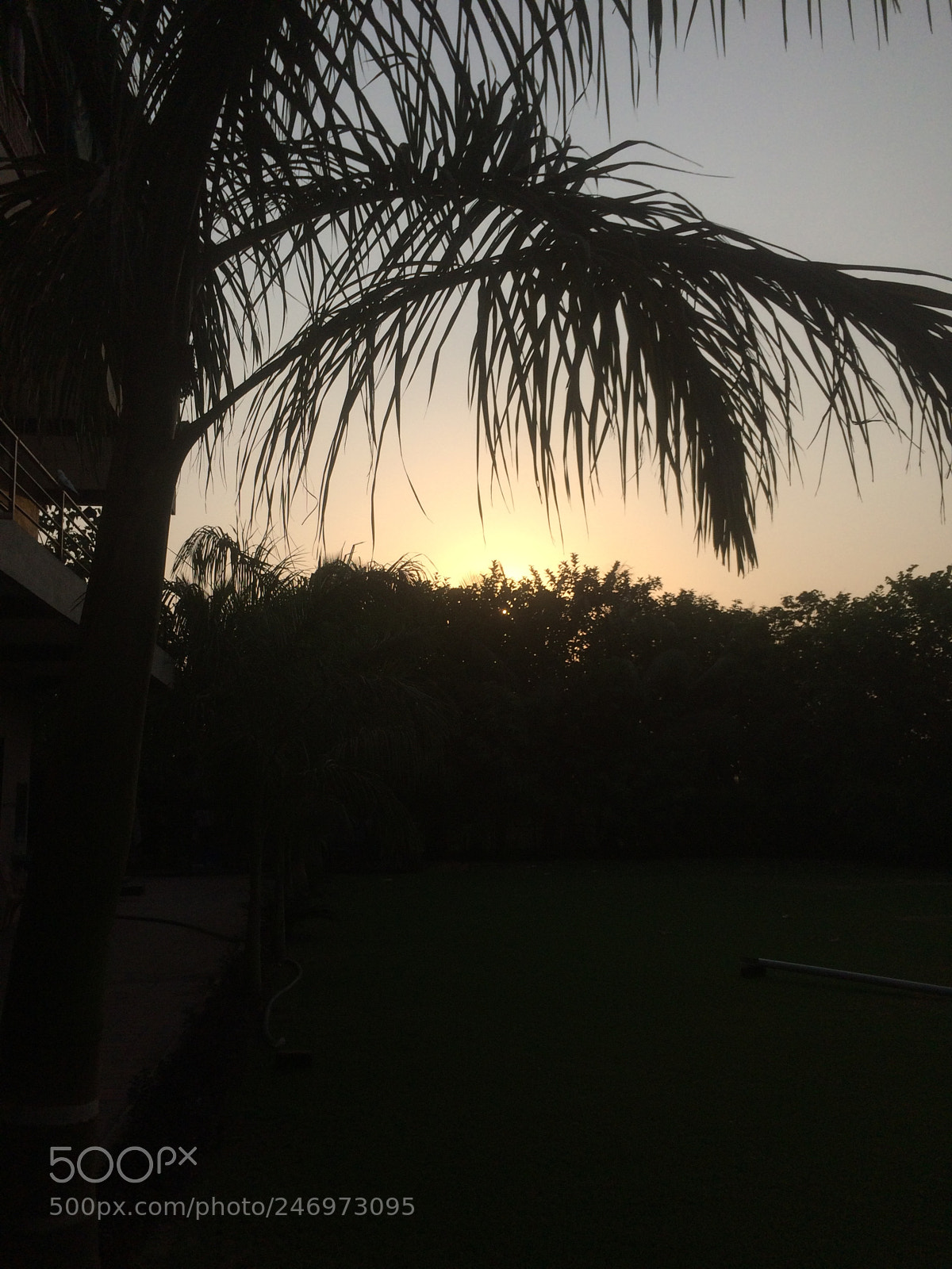 Apple iPhone 5s sample photo. Img photography