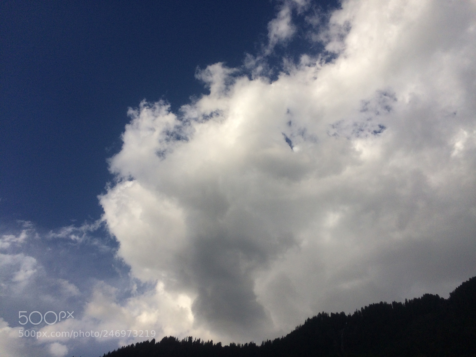 Apple iPhone 5s sample photo. Img photography