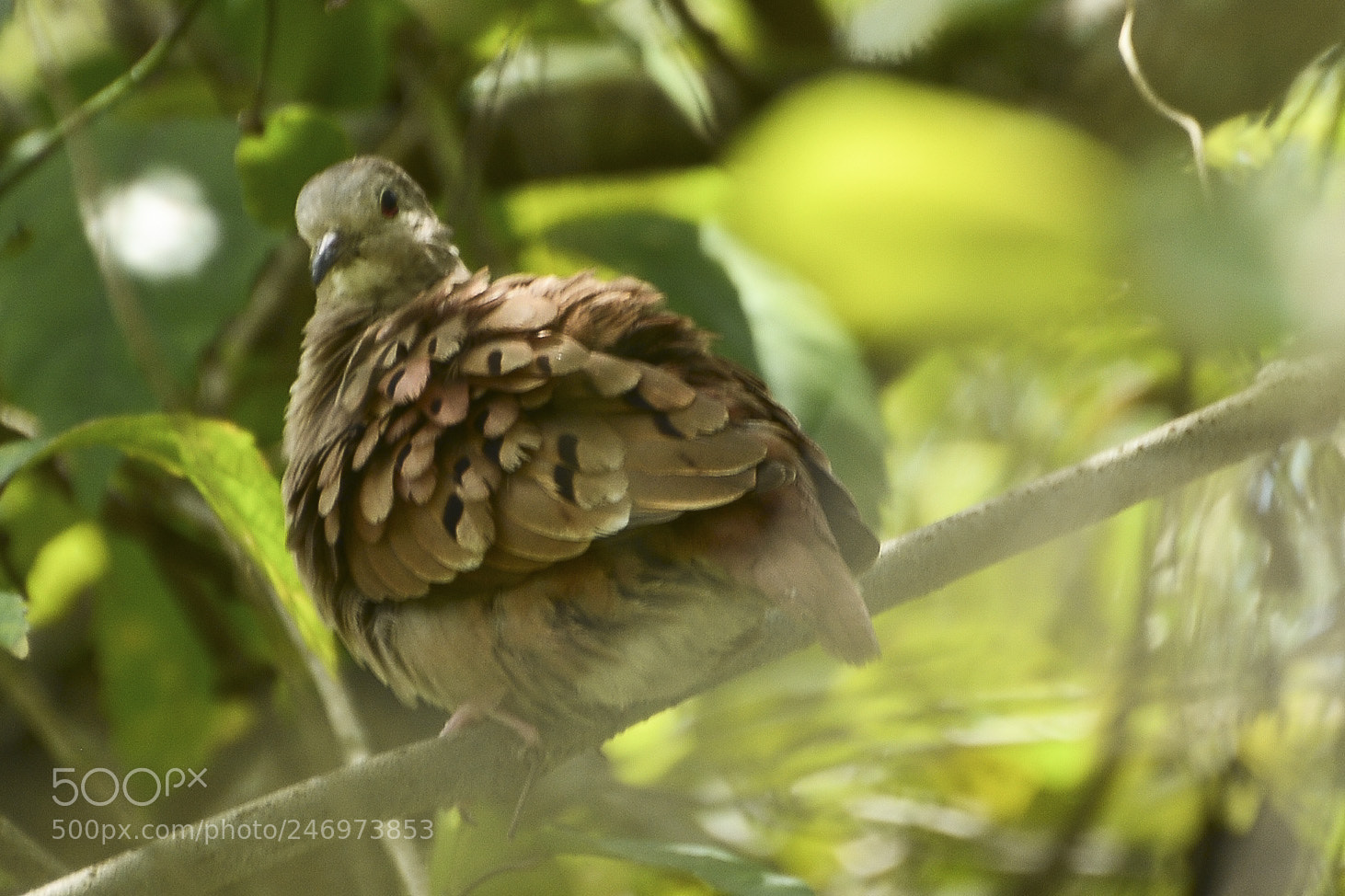 Nikon D7100 sample photo. Aconchego da m e photography