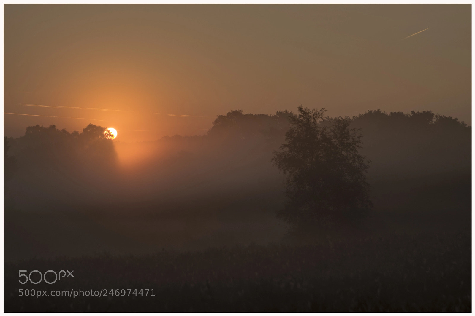 Nikon D500 sample photo. Sunrise photography