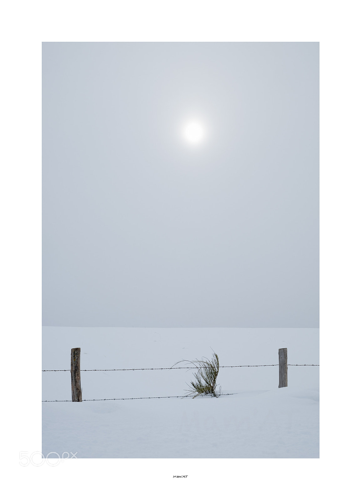 Fujifilm X-T1 sample photo. Sous le soleil photography
