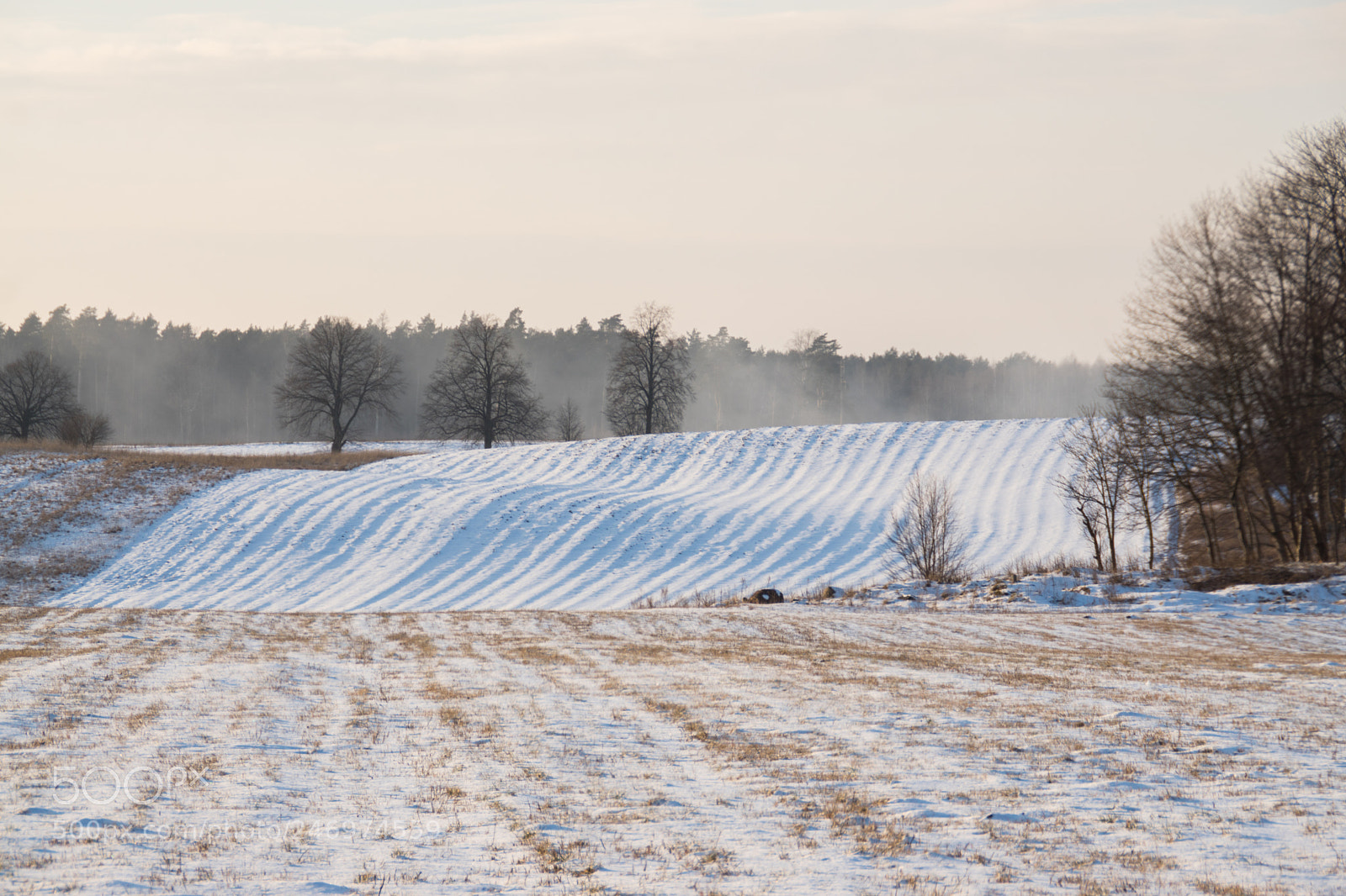 Sony ILCA-77M2 sample photo. Winter lines photography