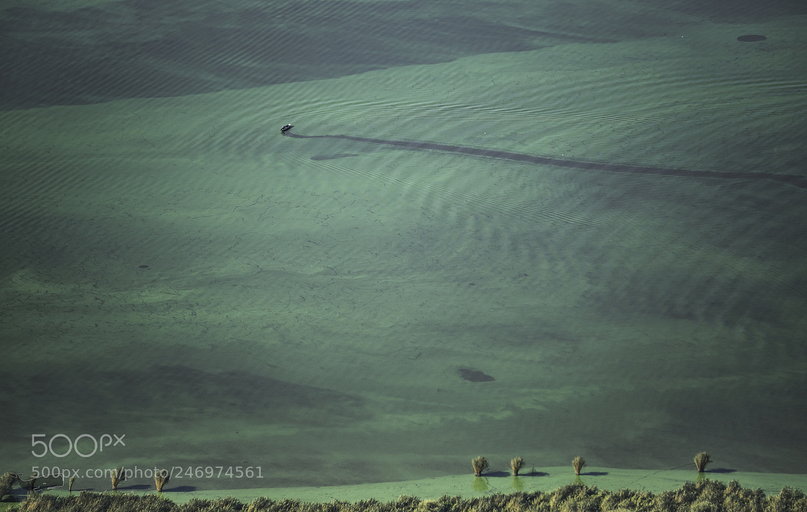 Sony Alpha NEX-6 sample photo. Grassland fisherboat photography