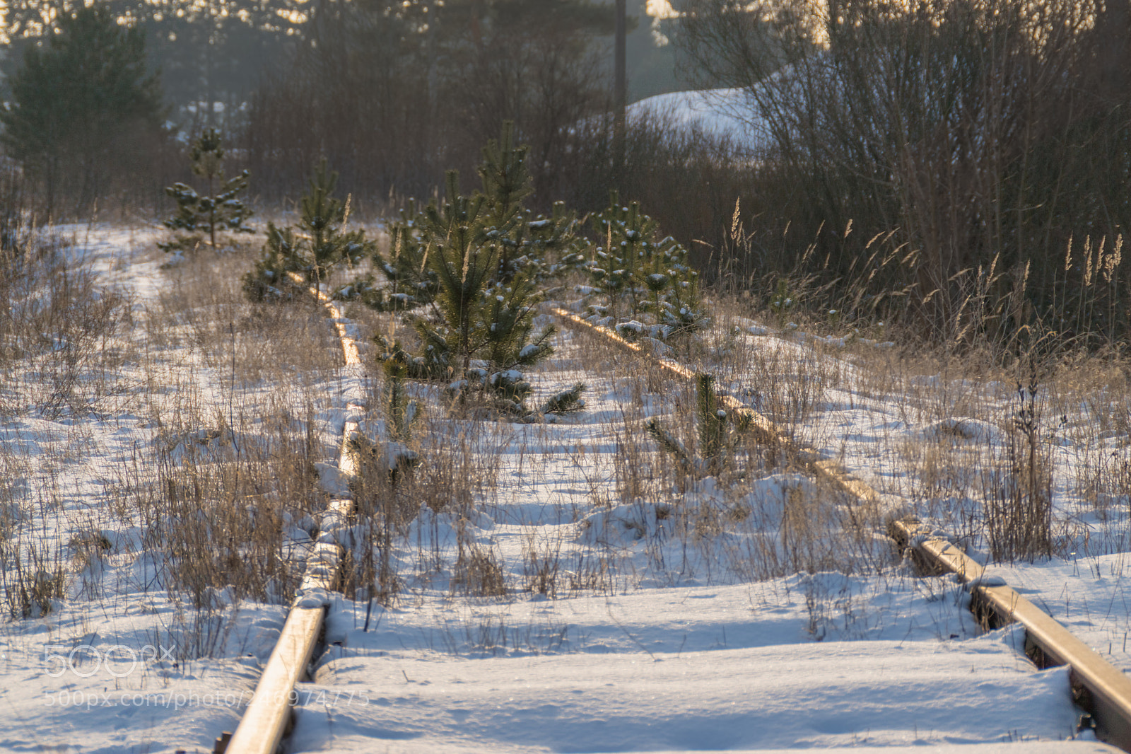 Sony ILCA-77M2 sample photo. Train is not coming photography