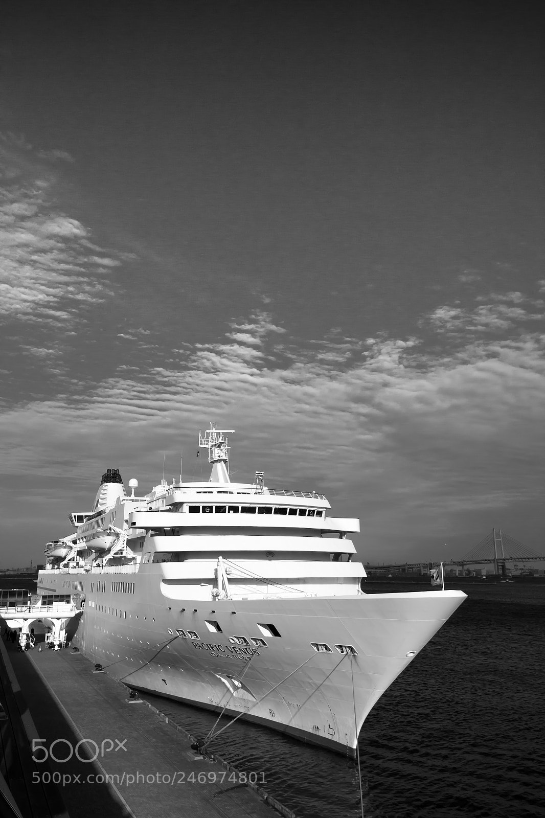 Canon EOS 60D sample photo. Pacific venus photography