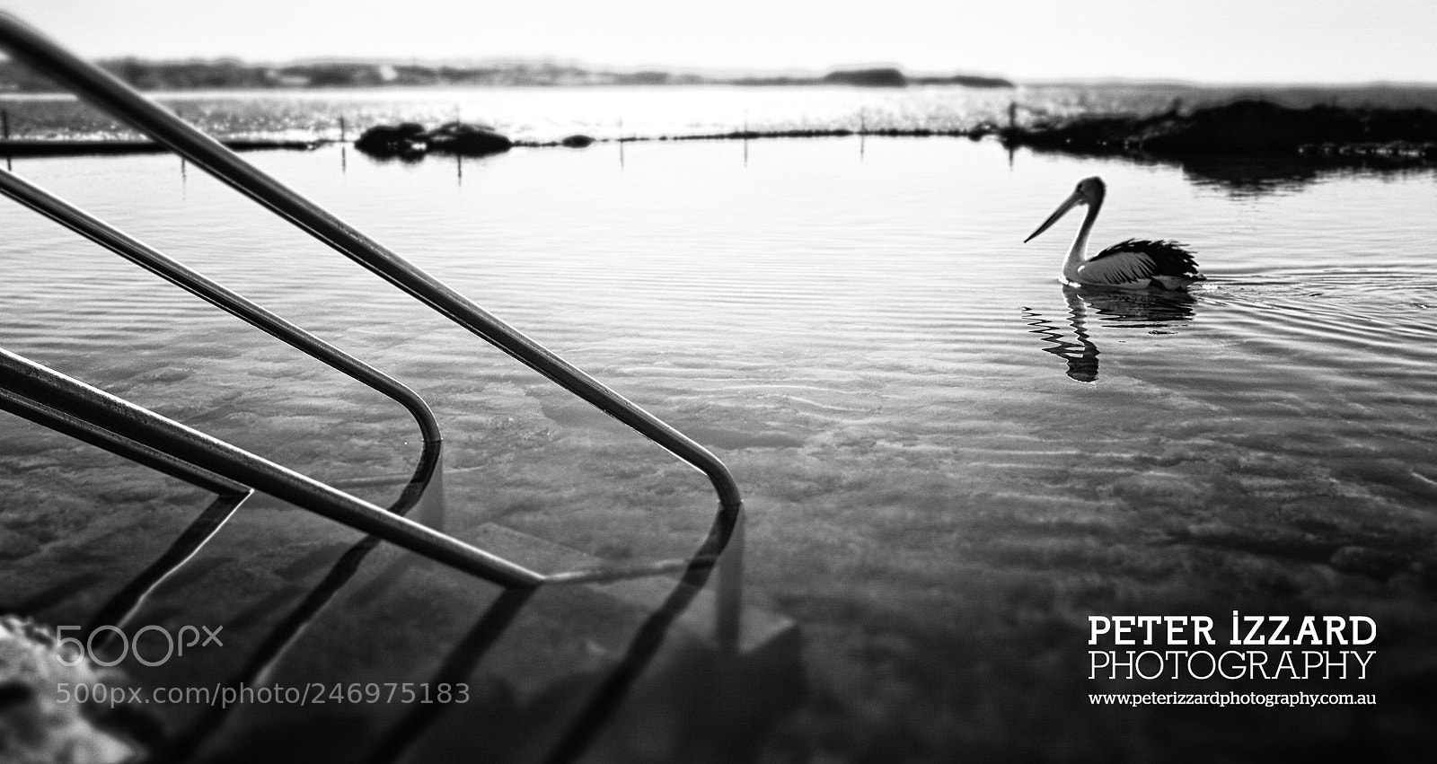 Fujifilm X100S sample photo. Pelo swimma photography