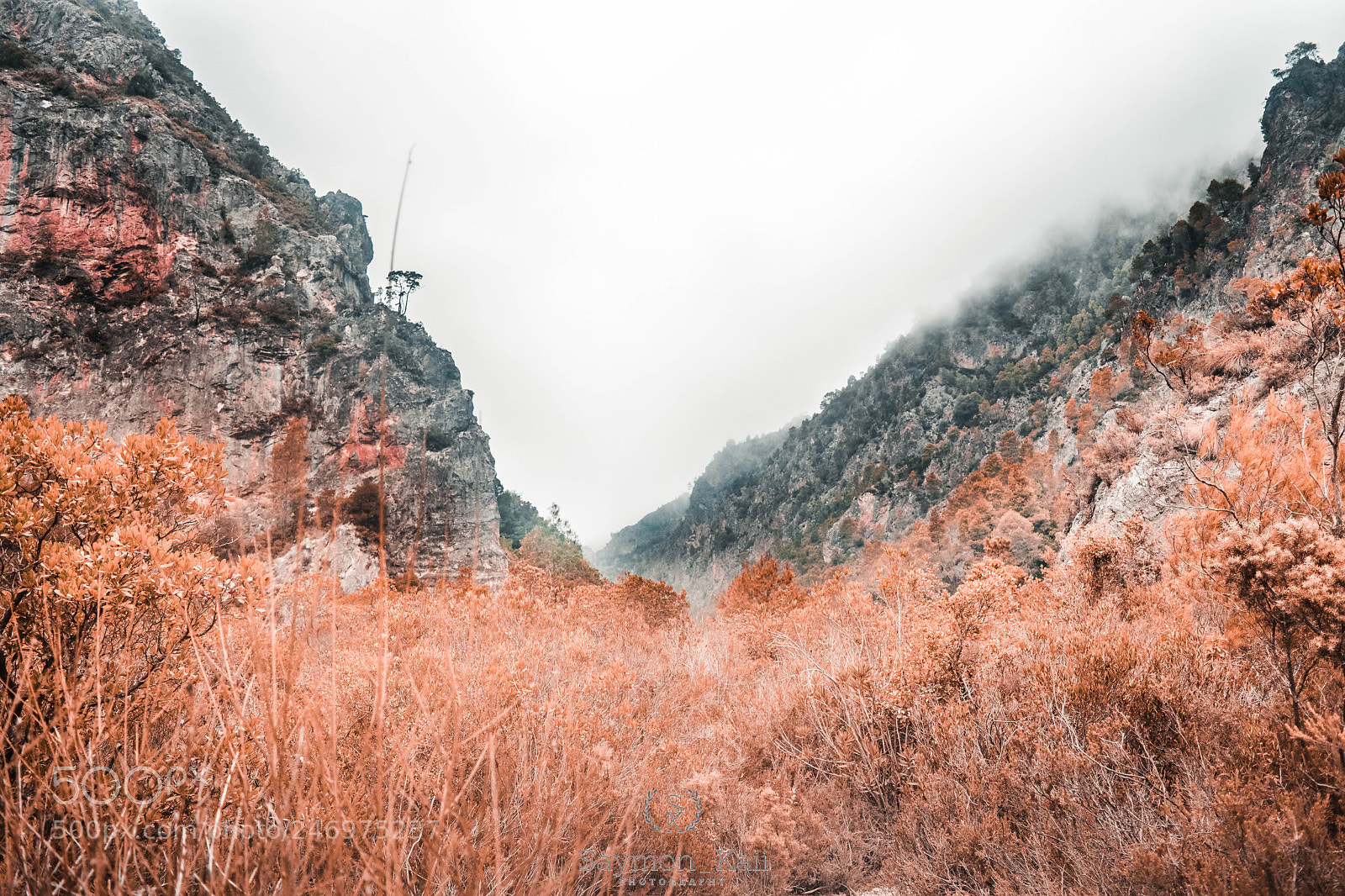 Nikon D5200 sample photo. Automn photography