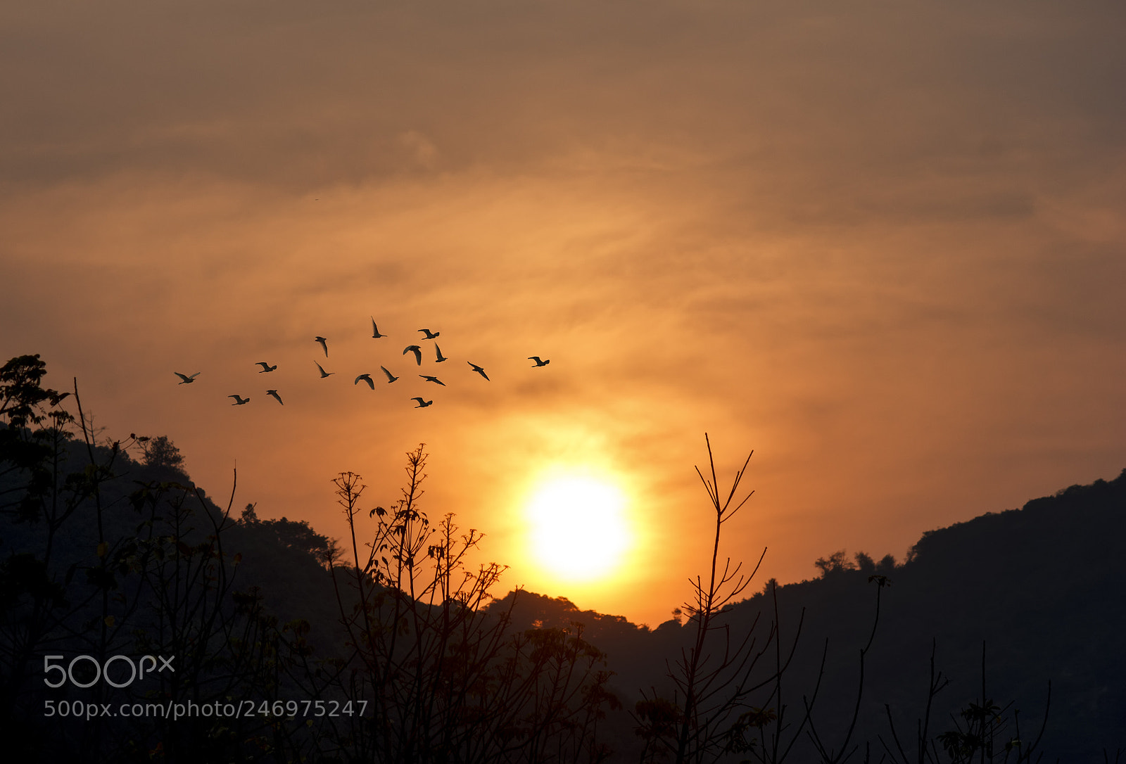 Canon EOS 550D (EOS Rebel T2i / EOS Kiss X4) sample photo. Sunset photography