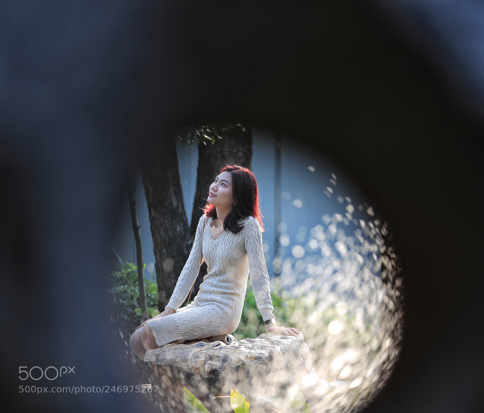 Canon EOS-1D X Mark II sample photo. Untitled photography