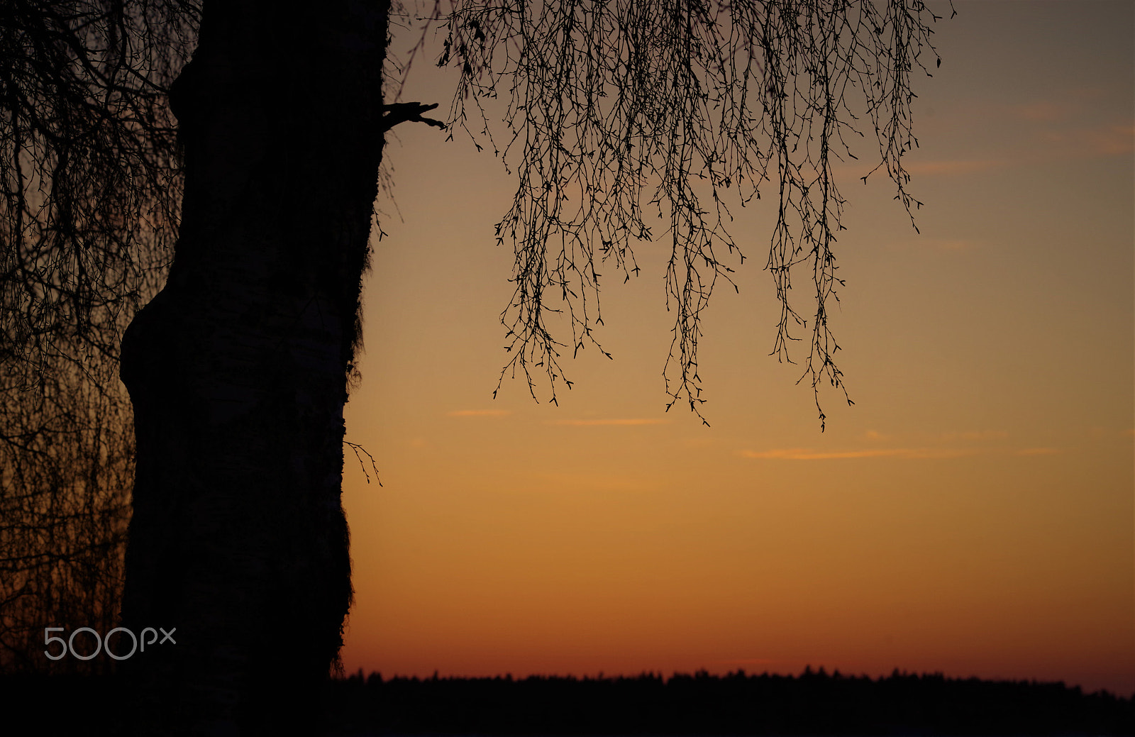 Pentax K-1 sample photo. Hanging around photography