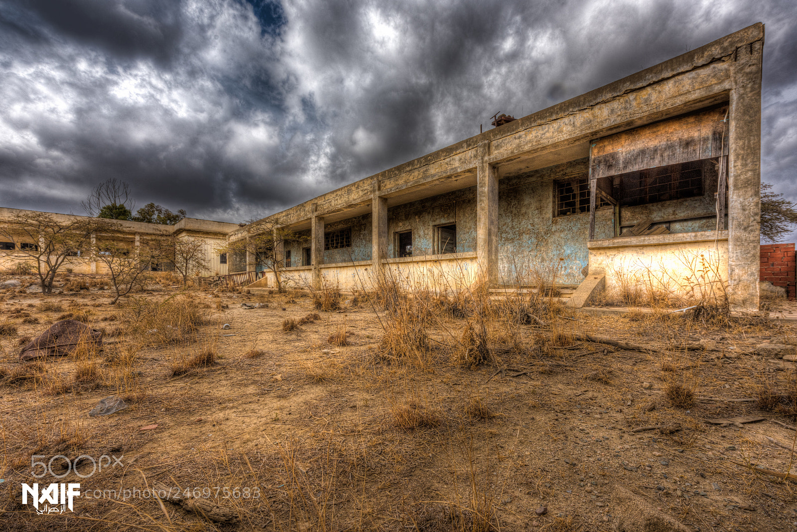 Nikon D810 sample photo. School abandoned photography