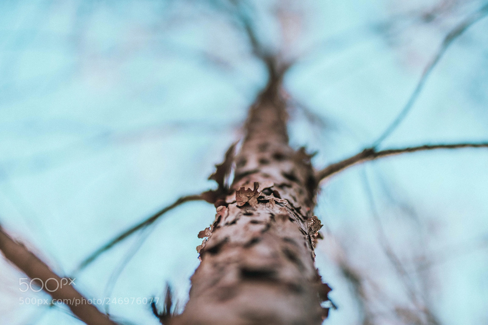 Nikon D7200 sample photo. Details photography