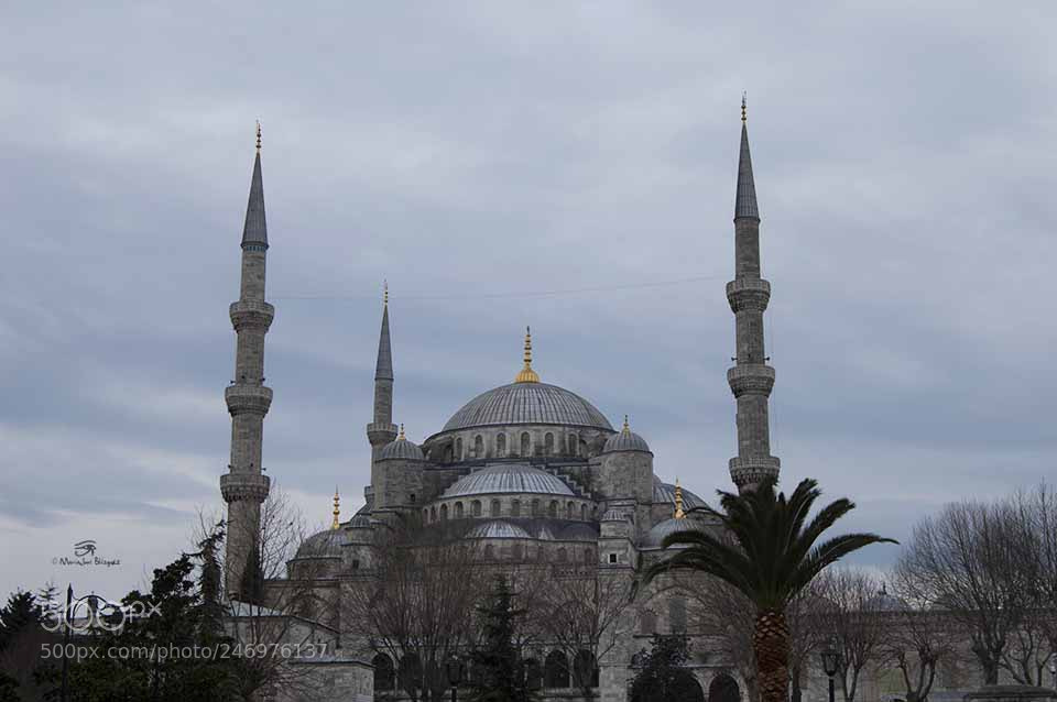 Nikon D40 sample photo. Mezquita azul photography