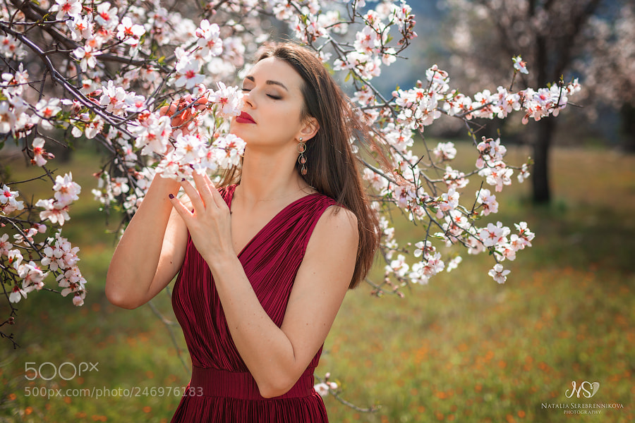 Canon EOS 6D Mark II sample photo. Web photography