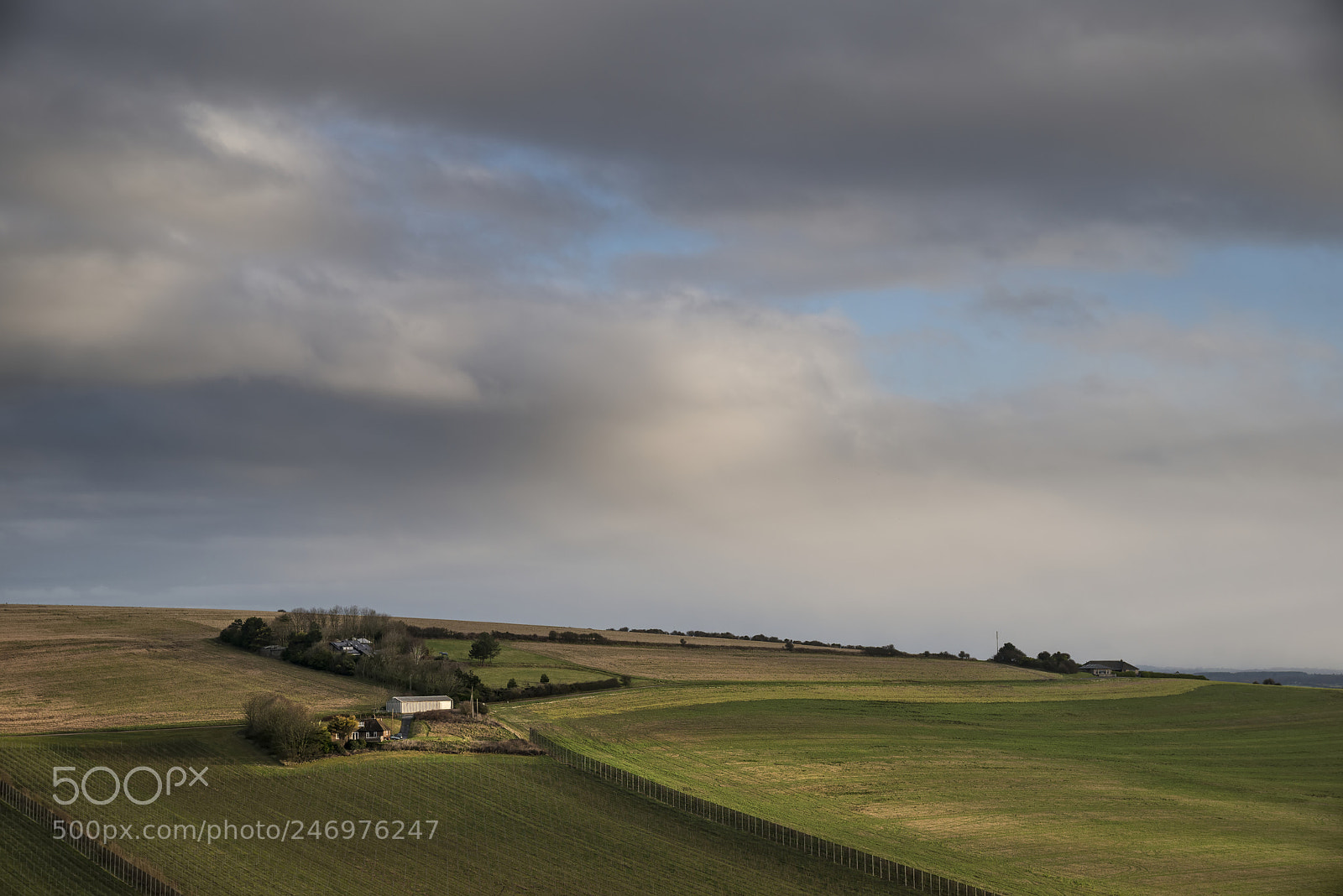 Nikon D800 sample photo. Landscape image of vineyard photography