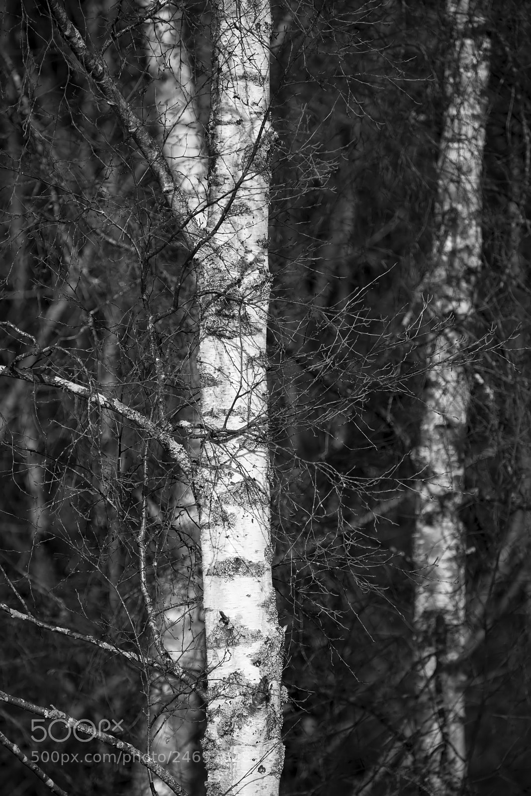 Nikon D800 sample photo. Fine art intimate landscape photography