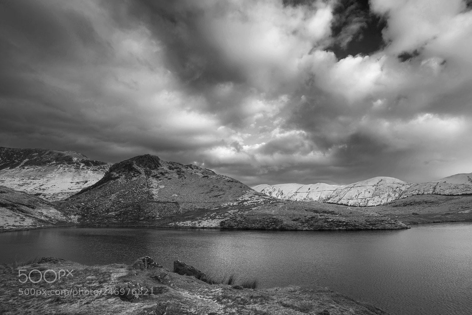 Nikon D800 sample photo. Beautiful black and white photography