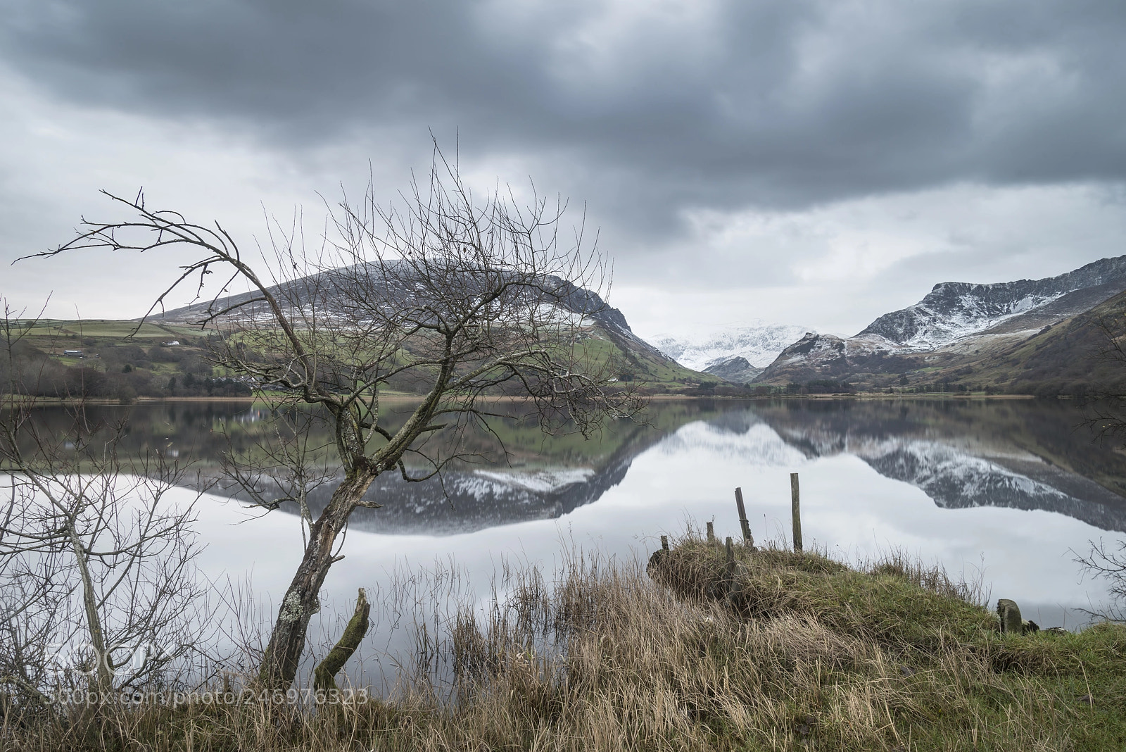 Nikon D800 sample photo. Beautiful winter landscape image photography