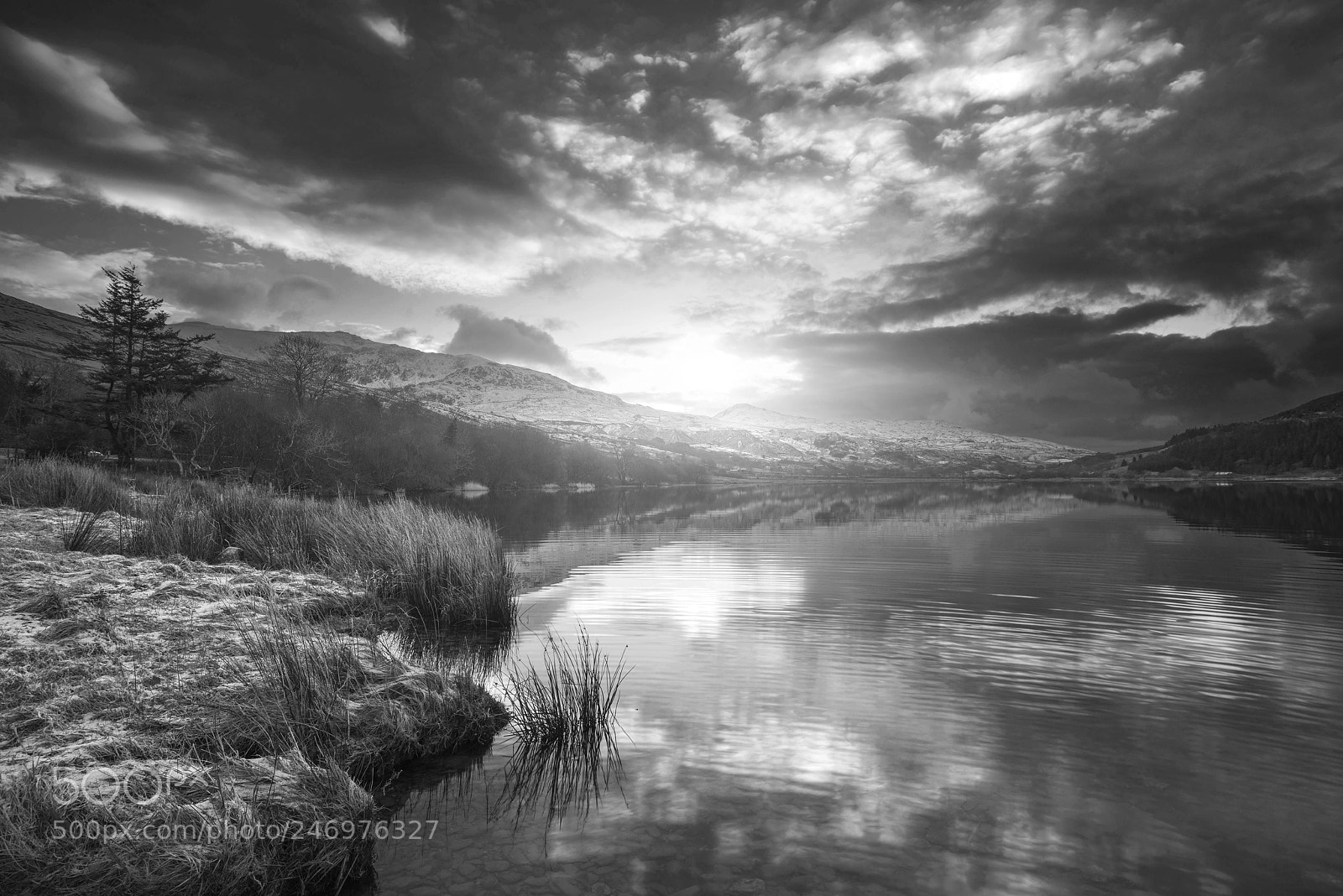 Nikon D800 sample photo. Stunning black and white photography