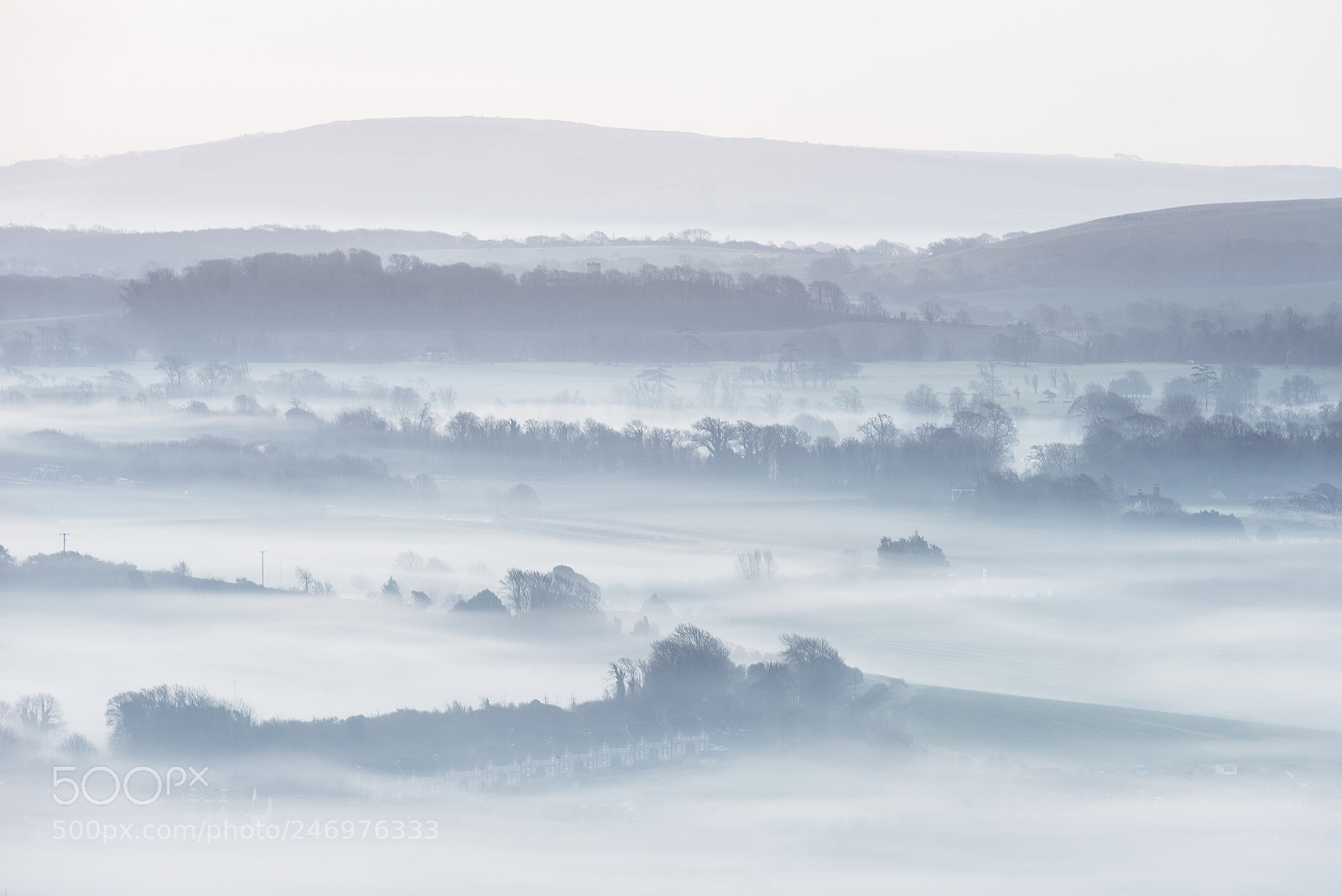 Nikon D800 sample photo. Stunning foggy english rural photography