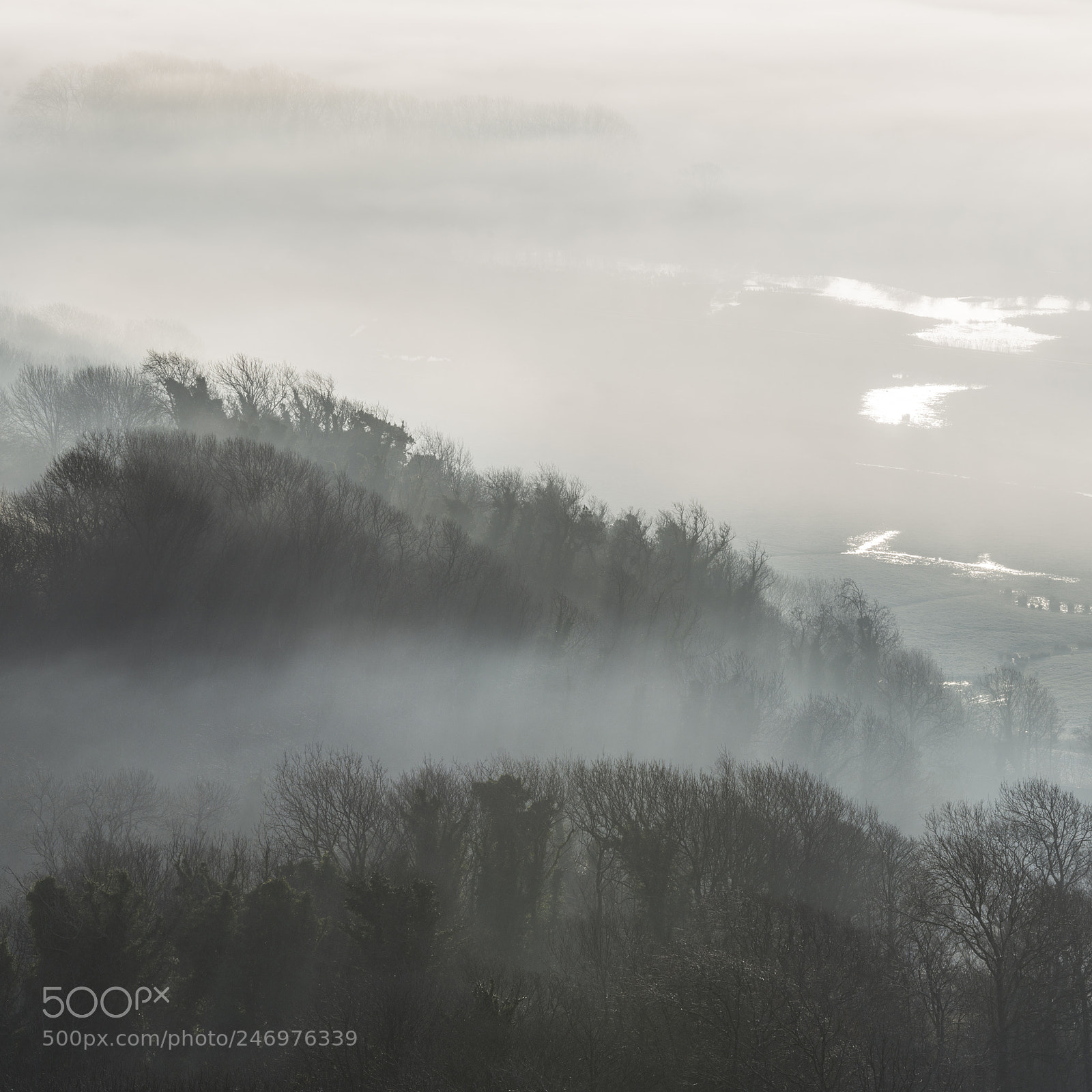 Nikon D800 sample photo. Stunning foggy english rural photography