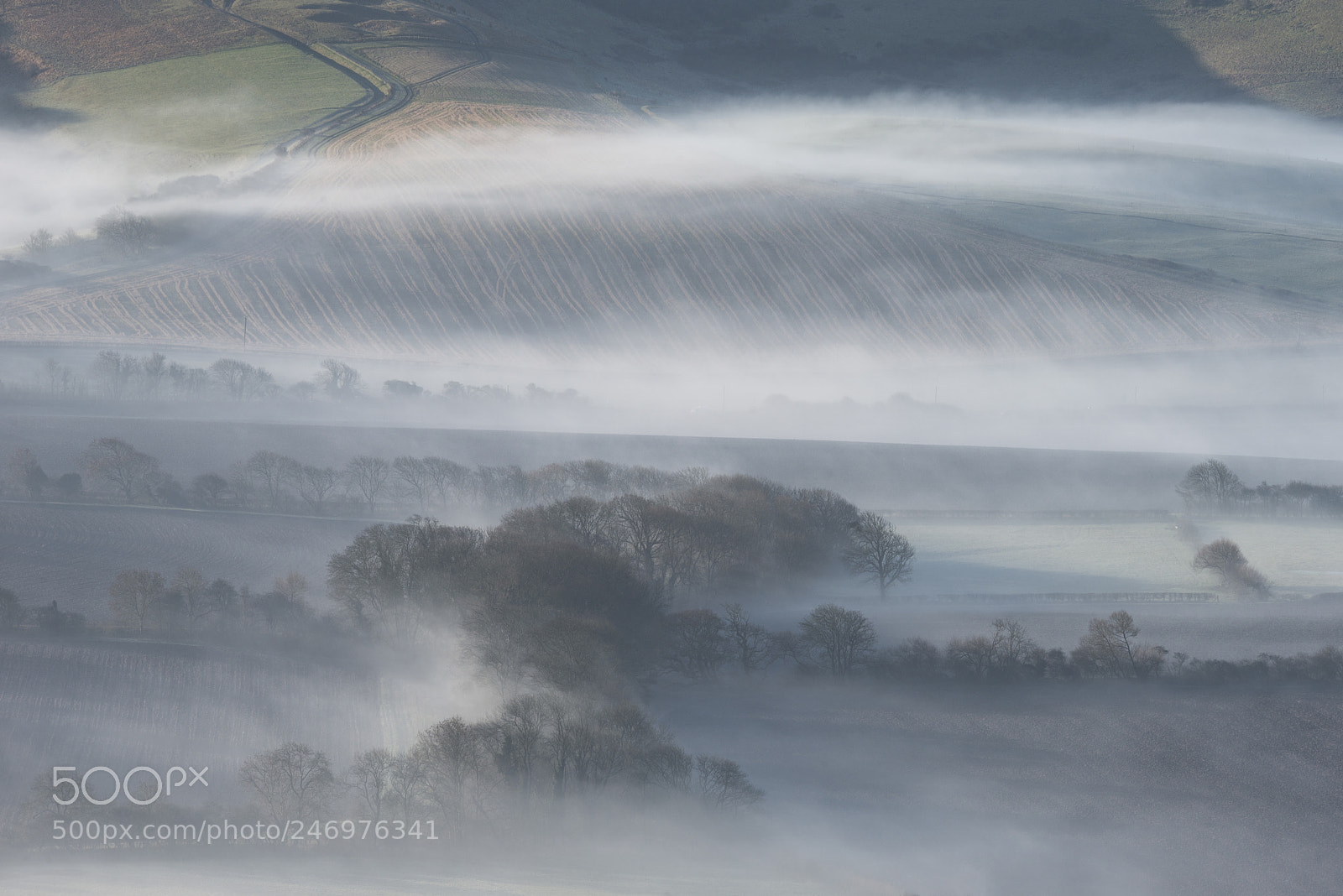 Nikon D800 sample photo. Stunning foggy english rural photography