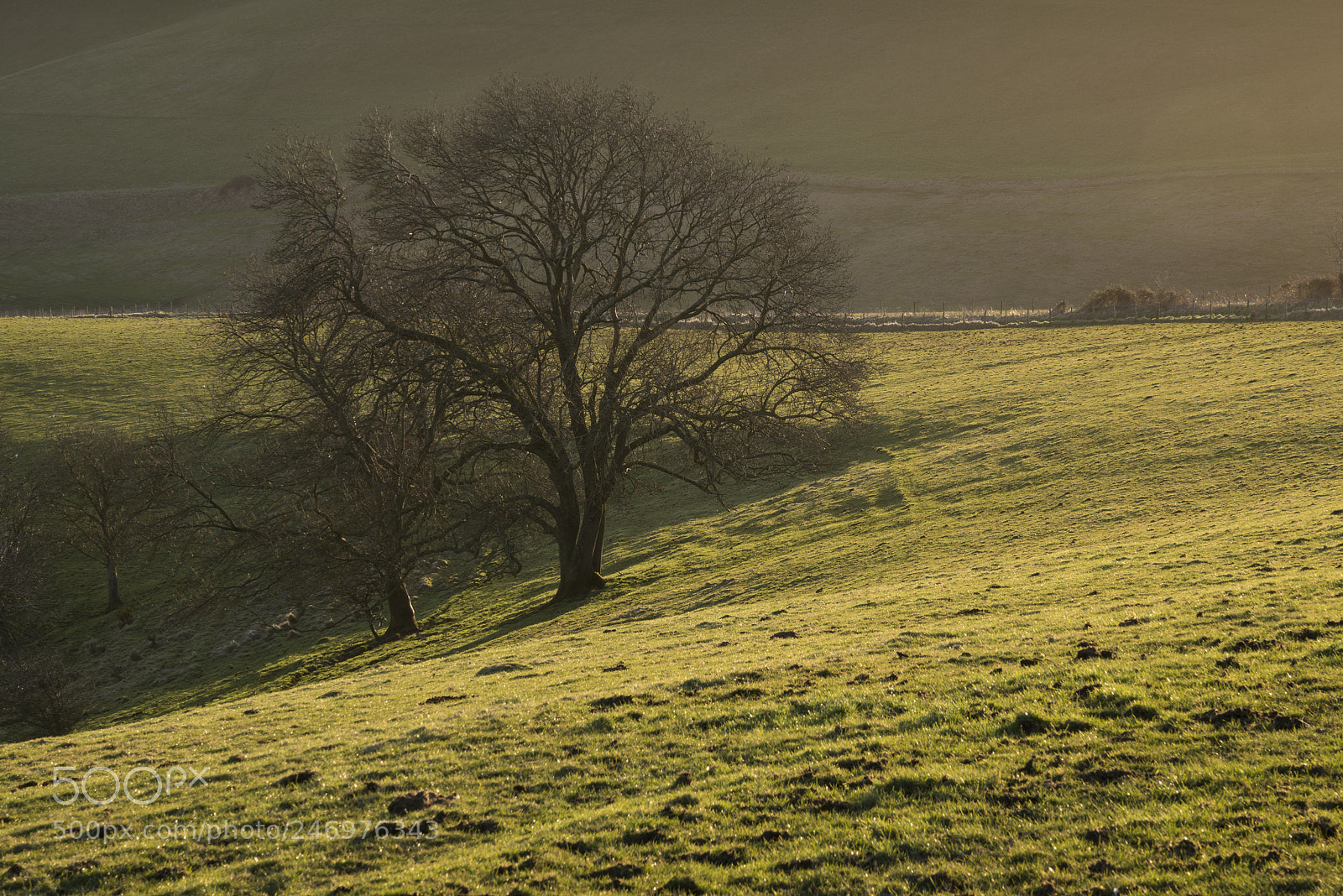 Nikon D800 sample photo. Stunning vibrant sunrise landscape photography