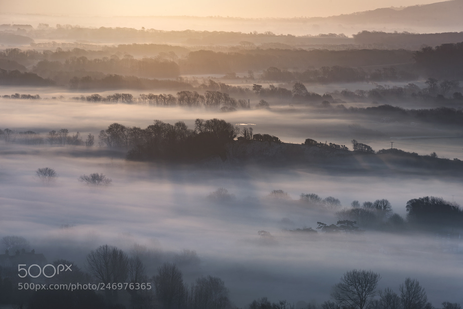 Nikon D800 sample photo. Stunning foggy english rural photography