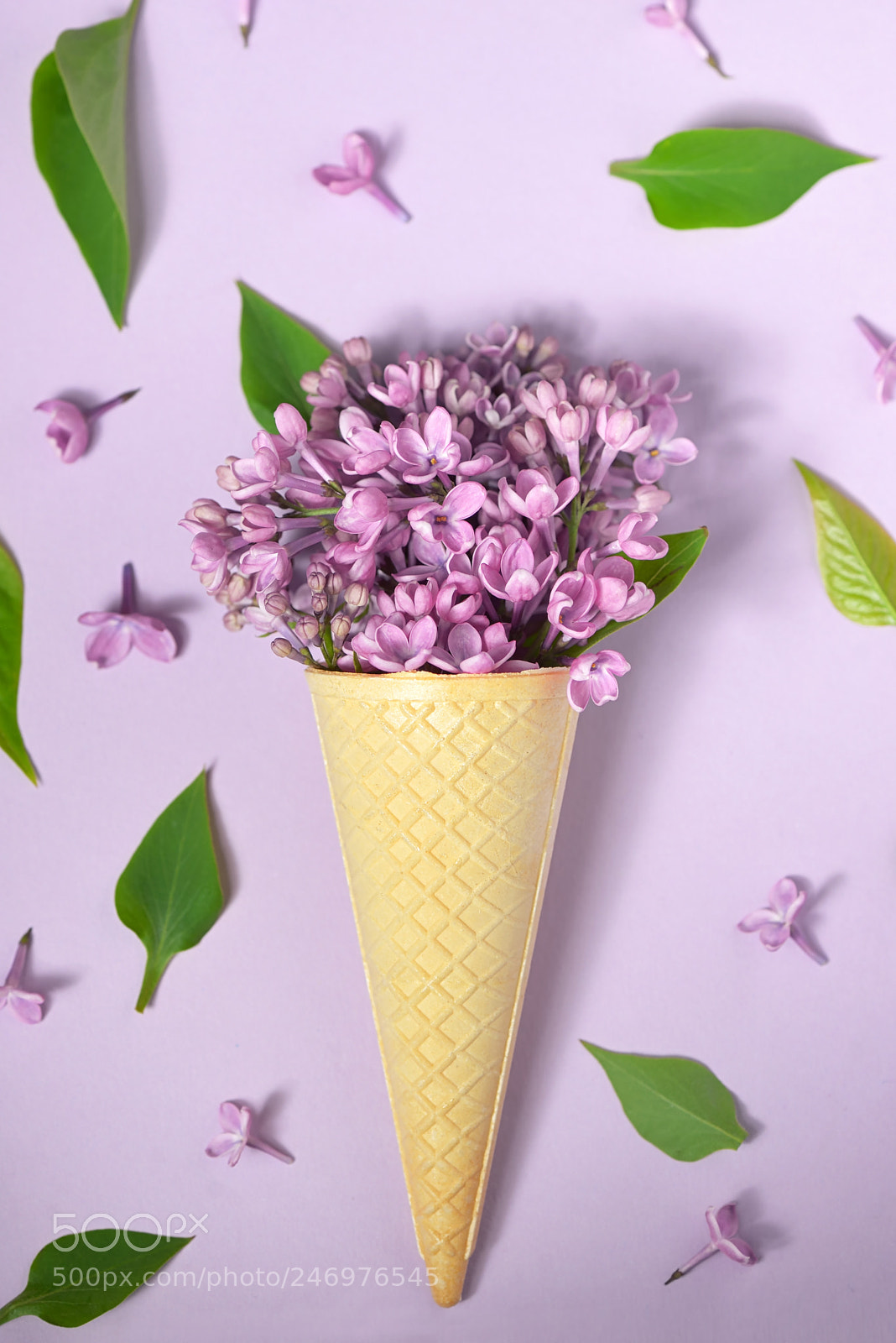 Nikon D610 sample photo. Ice cream cone with photography