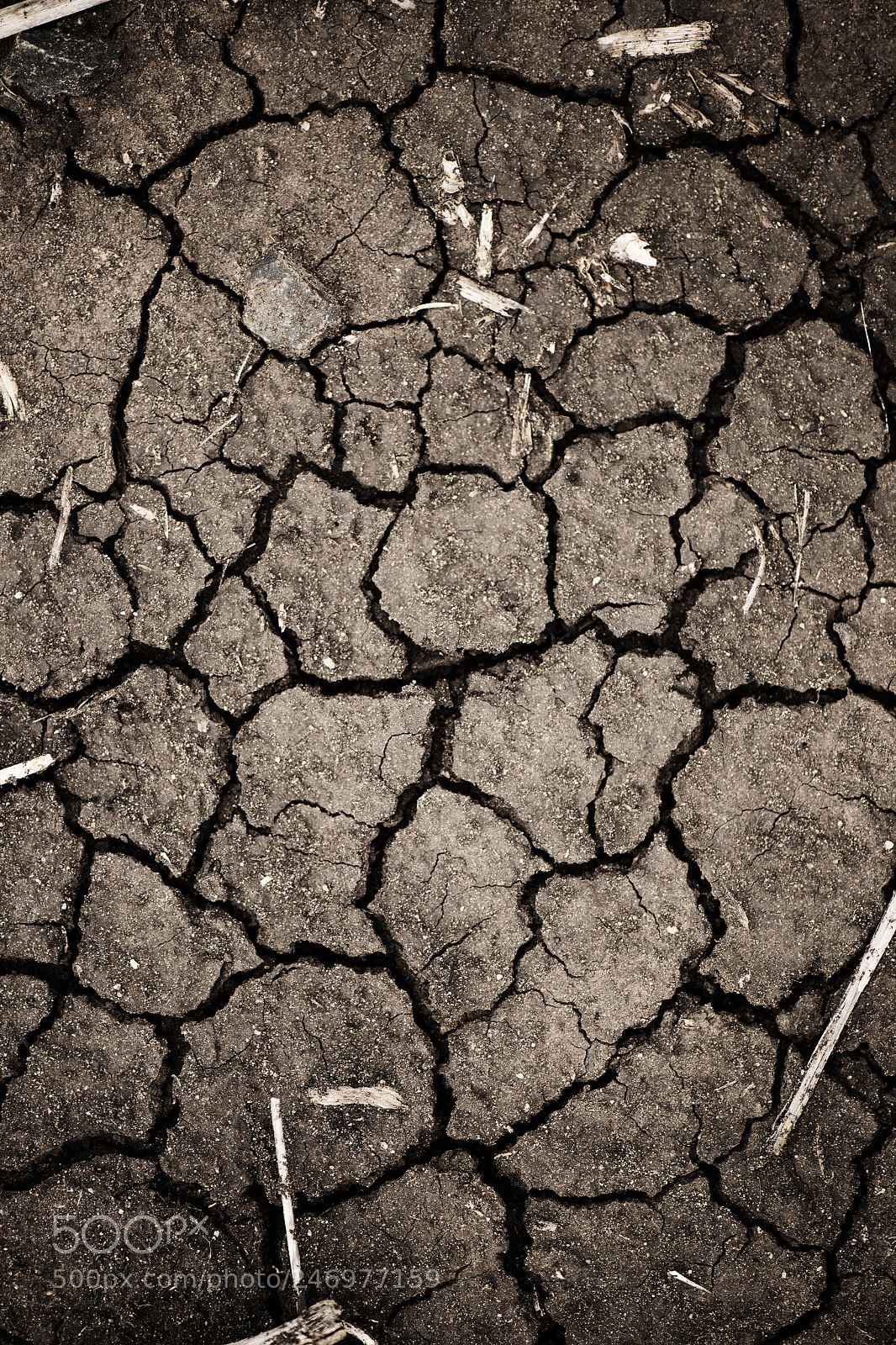 Nikon D800 sample photo. Closeup of cracked earth. photography