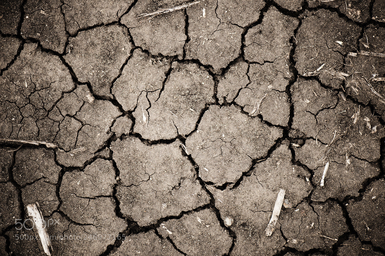 Nikon D800 sample photo. Closeup of cracked earth. photography