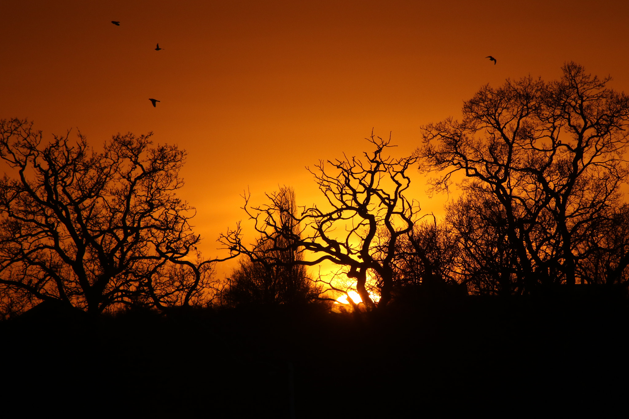 Canon EOS 7D Mark II + Canon EF 100-300mm F4.5-5.6 USM sample photo. End of a beautiful day photography